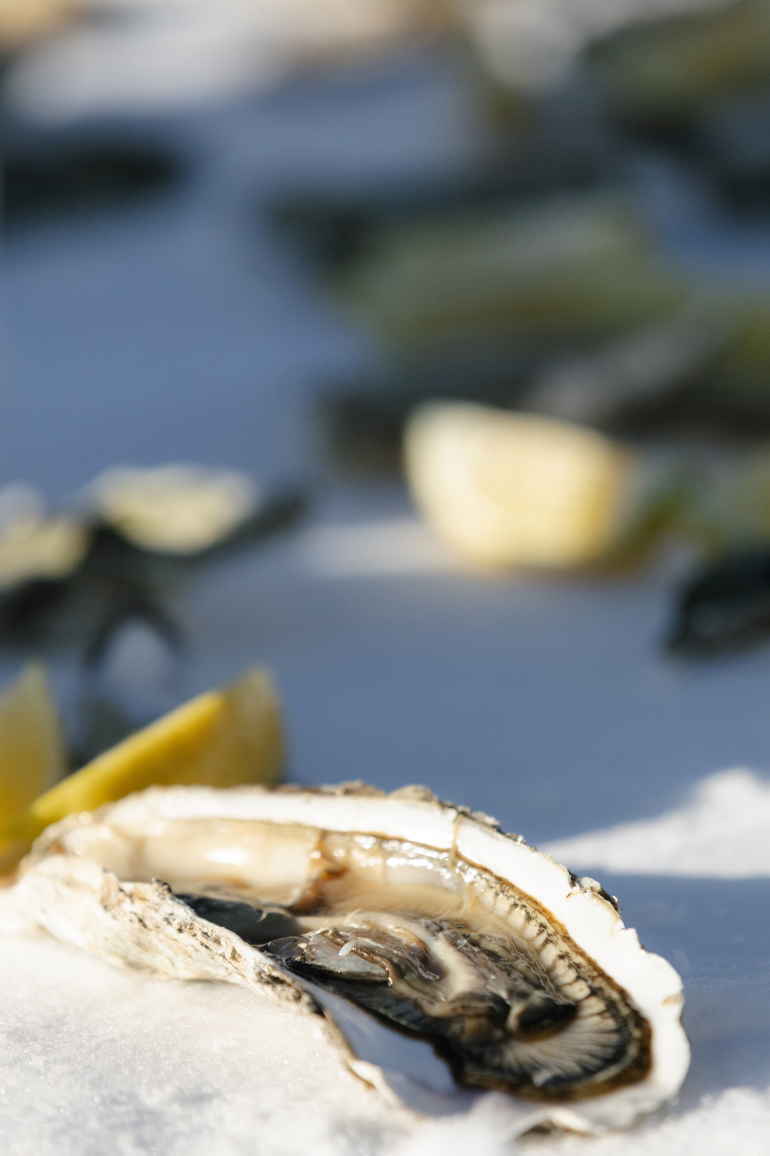 Dress Code: White. Портретный фотограф в Санкт-Петербурге