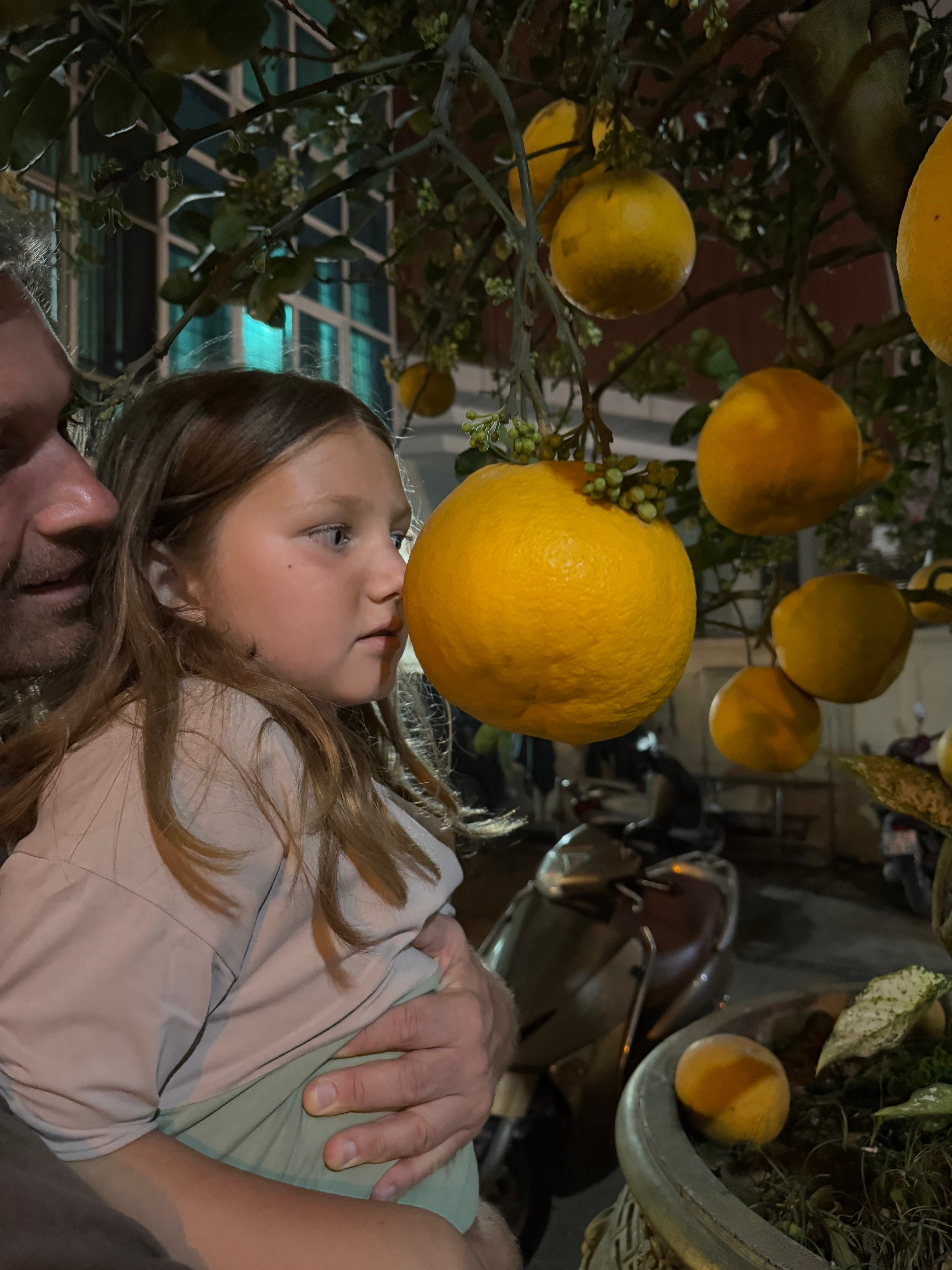 Вьетнам.Ханой.мы 2025. А вот и да!