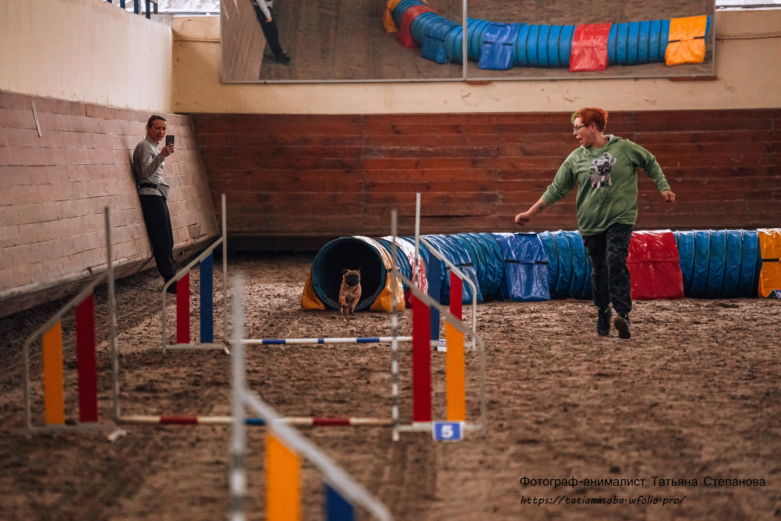 Соревнования по Аджилити 25.02.2024. Фотограф-анималист Татьяна Степанова