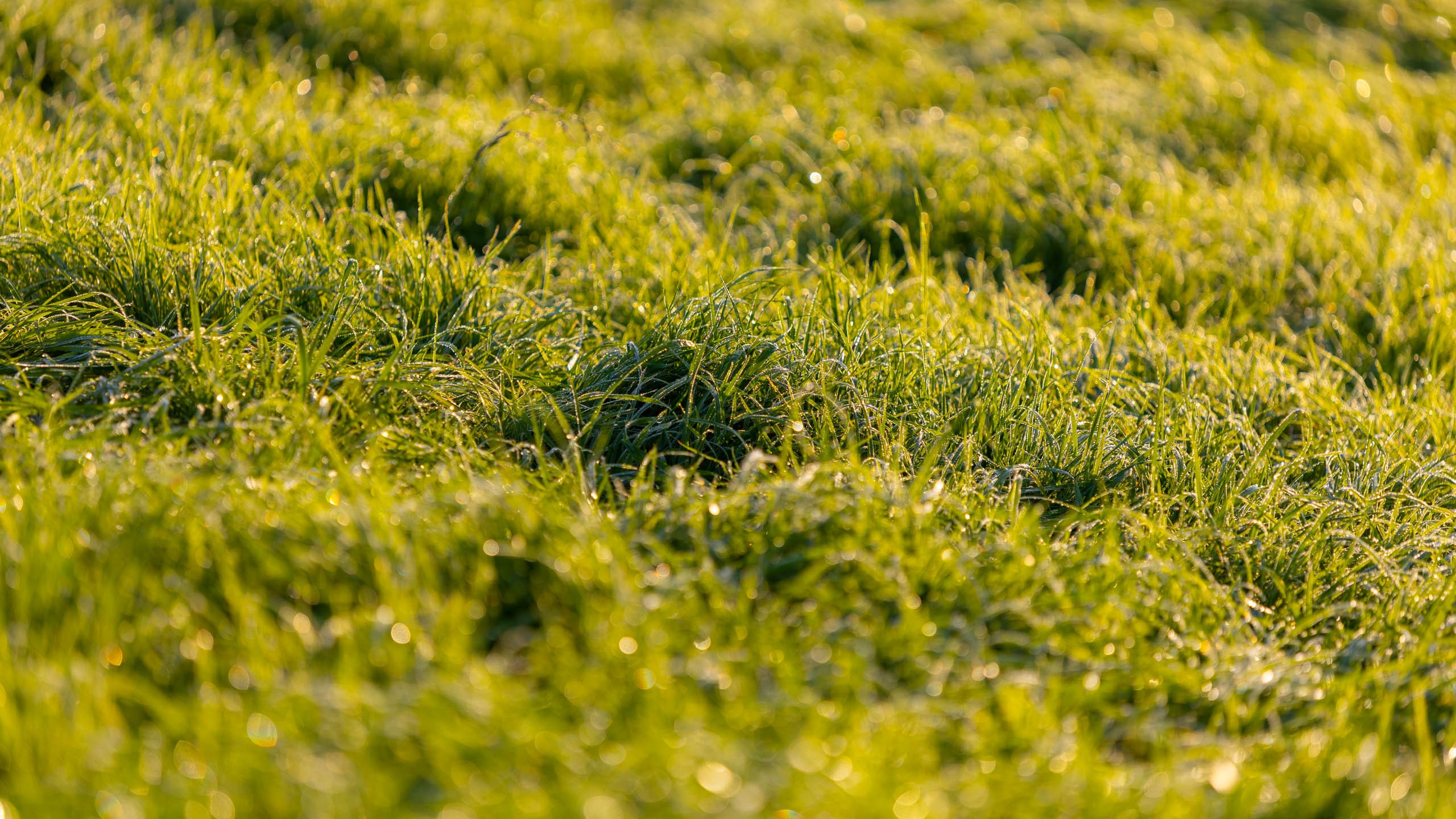 2023 09 Царицыно. Фотографии