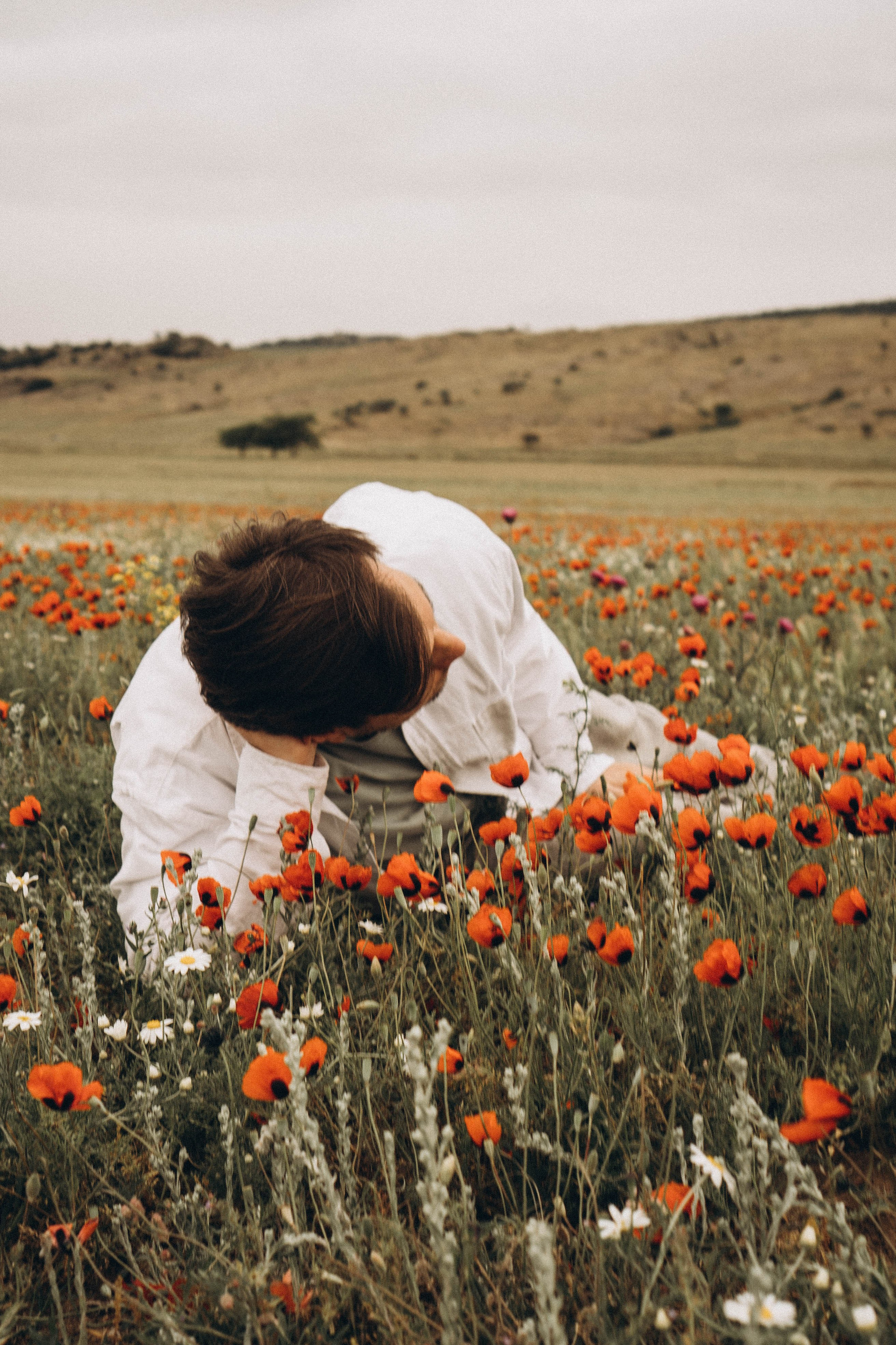 Маки. Профессиональный фотограф, Санкт-Петербург — Виктория Богомолова