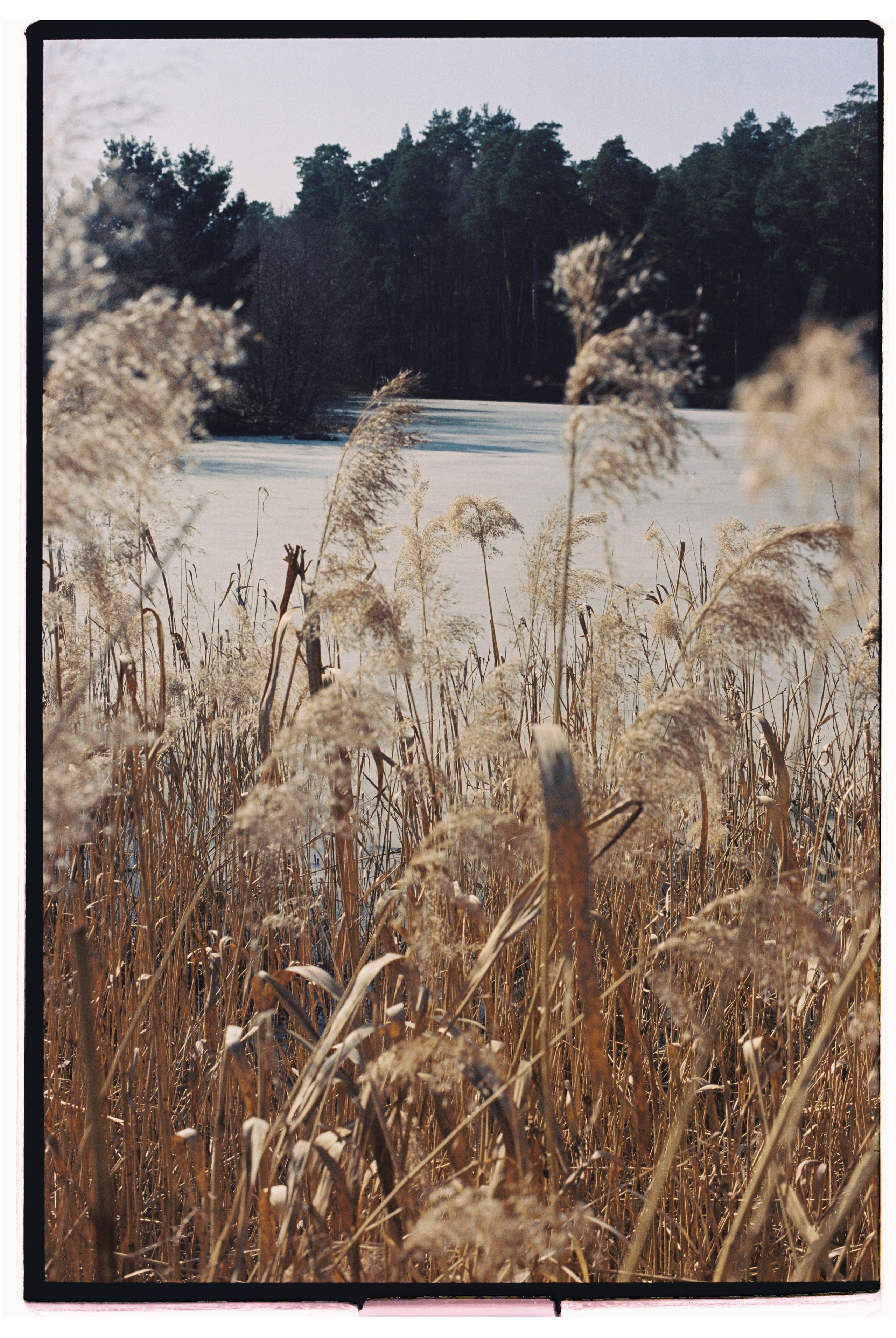 KALUGA. ANNA — PHOTOGRAPHER