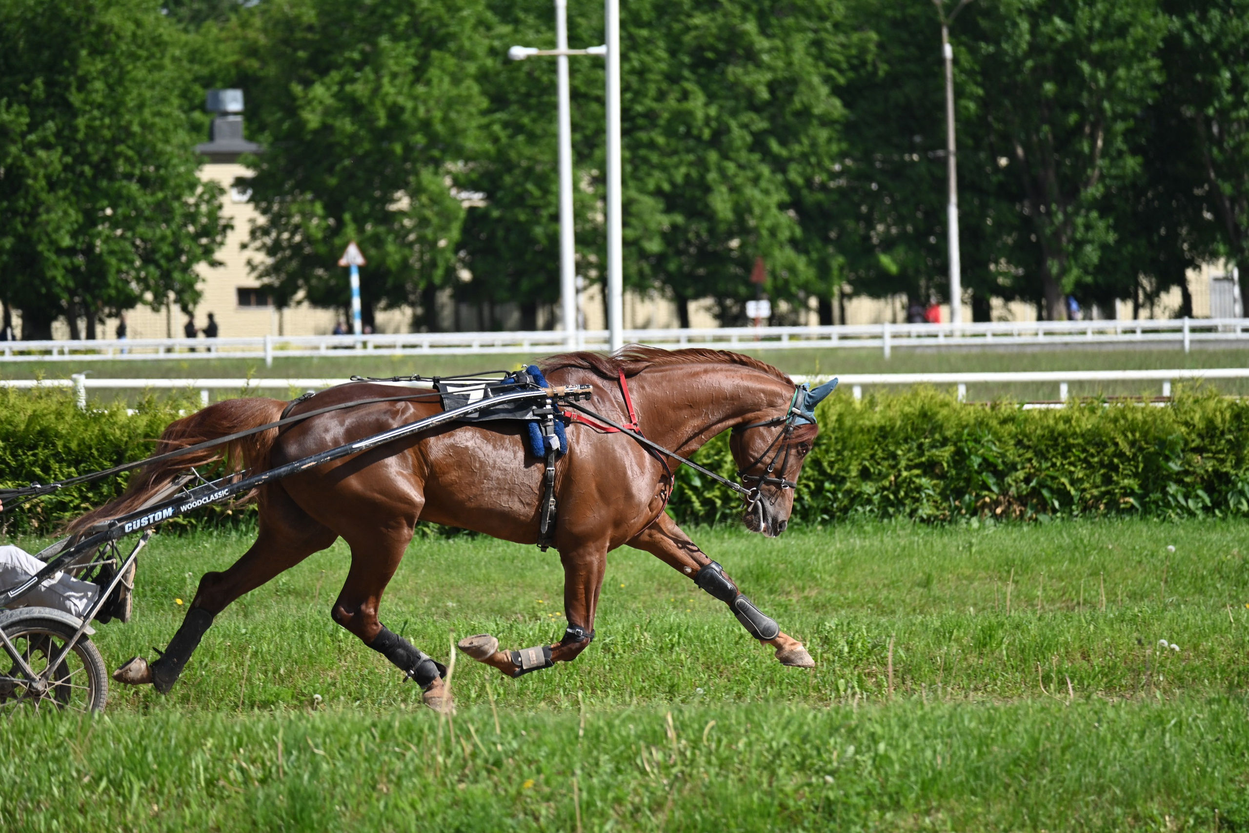 Ипподром (Москва). Fotolux