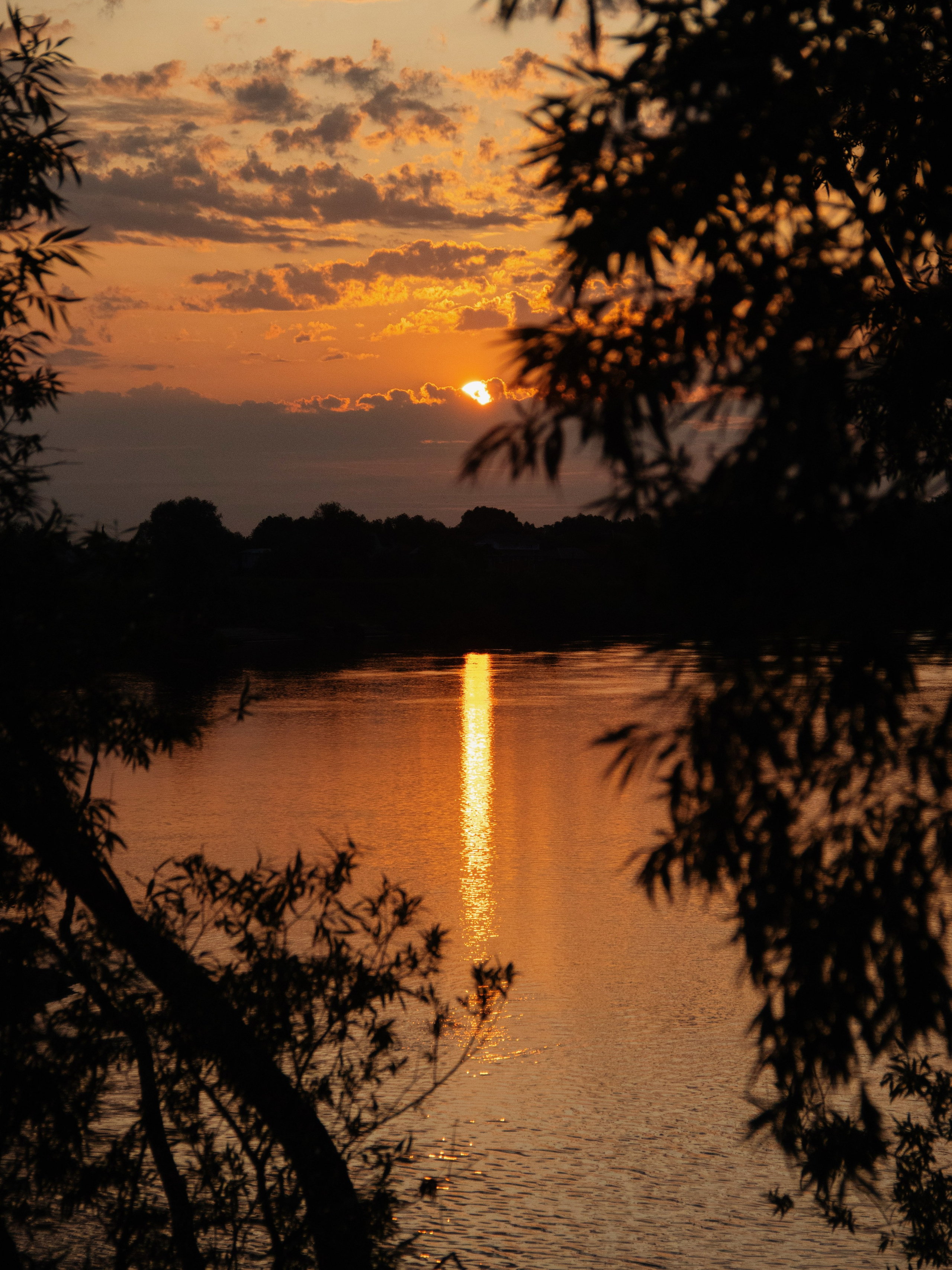 Жидкое золото. С любовью, фотохудожник