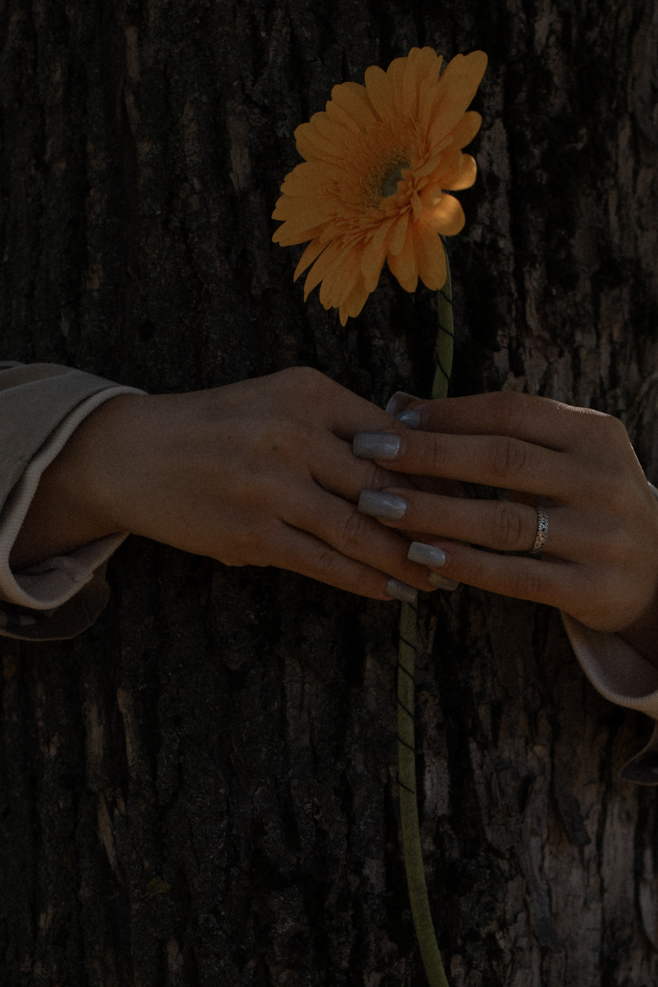 Прогулка в Осмоловке с Настей. Ваш семейный фотограф в Минске — Вика Трегубова