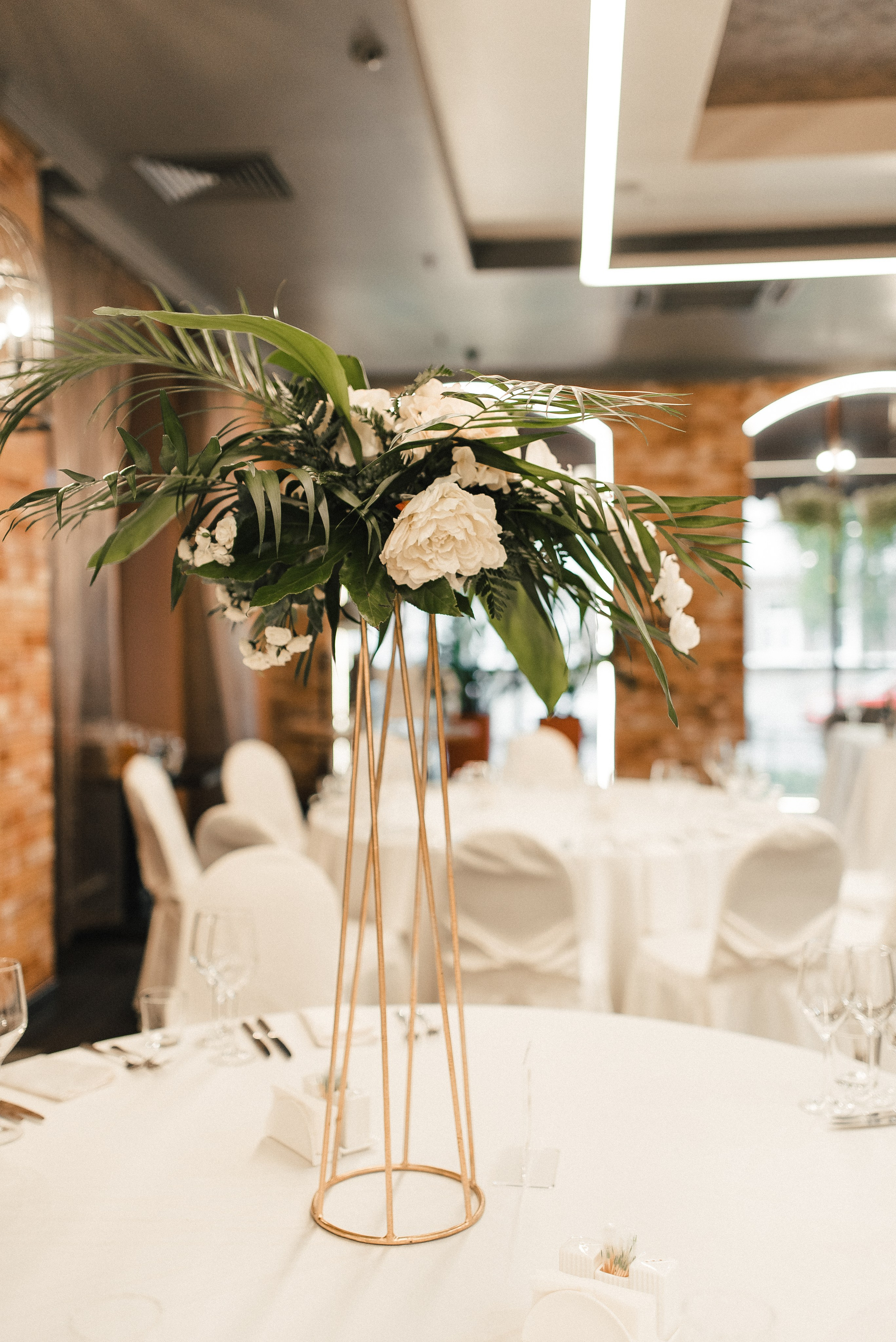 Зимний сад. Фотограф Гилярова Злата Белгород