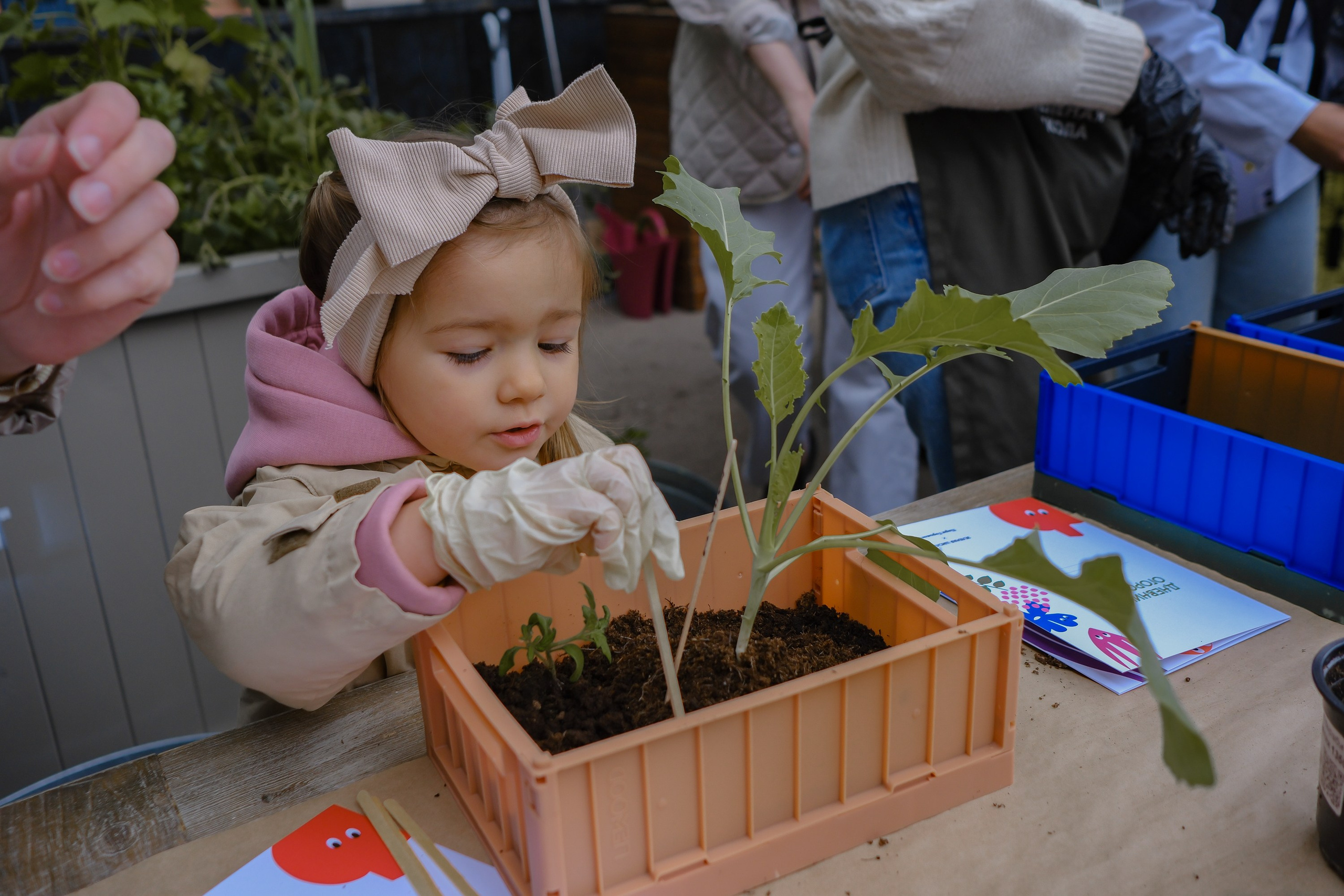 VeterFest 2023. Фотограф в Москве (готова приехать к вам в город)