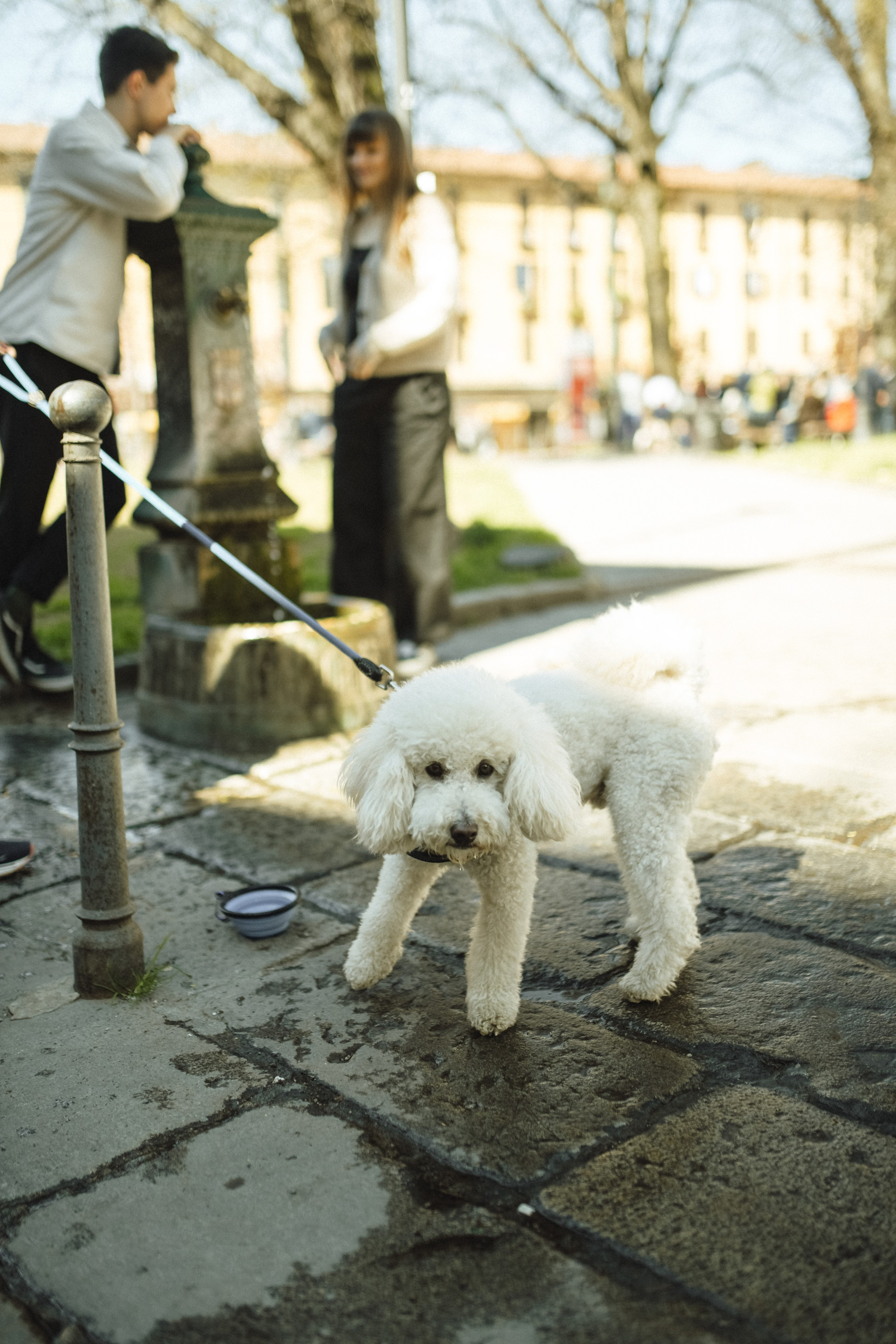 Arseniy&Katya+1. Василиса Кёниг