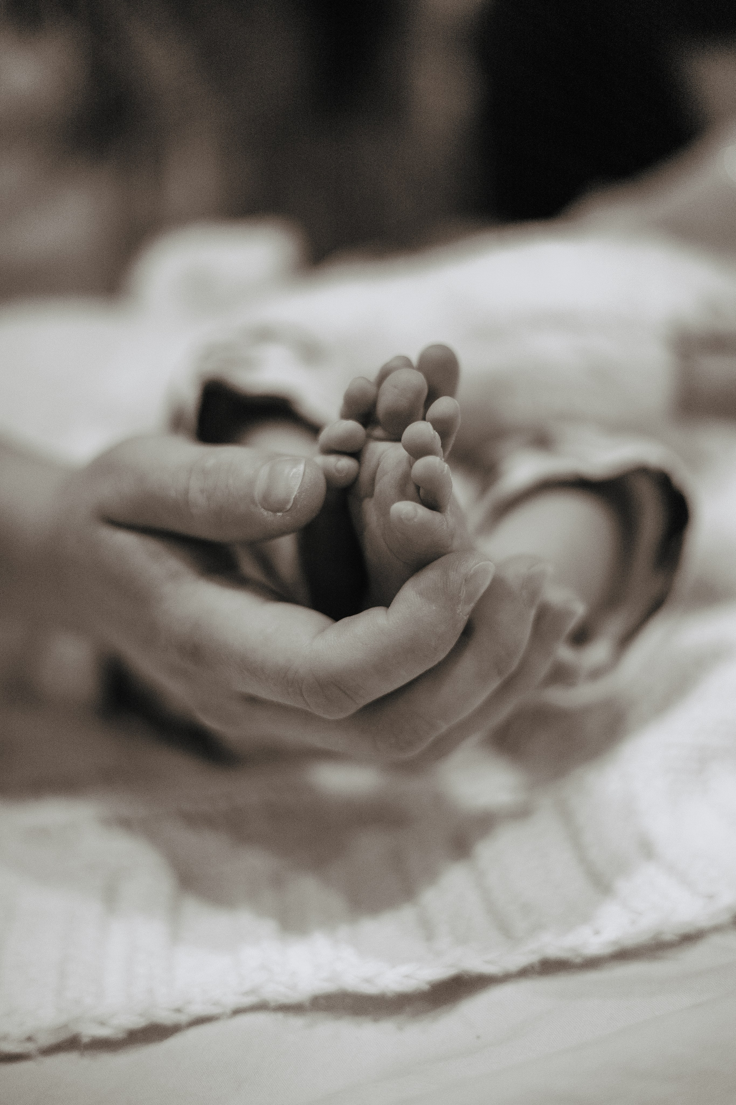 Встреча брата. Новорождённый Влад. Главная