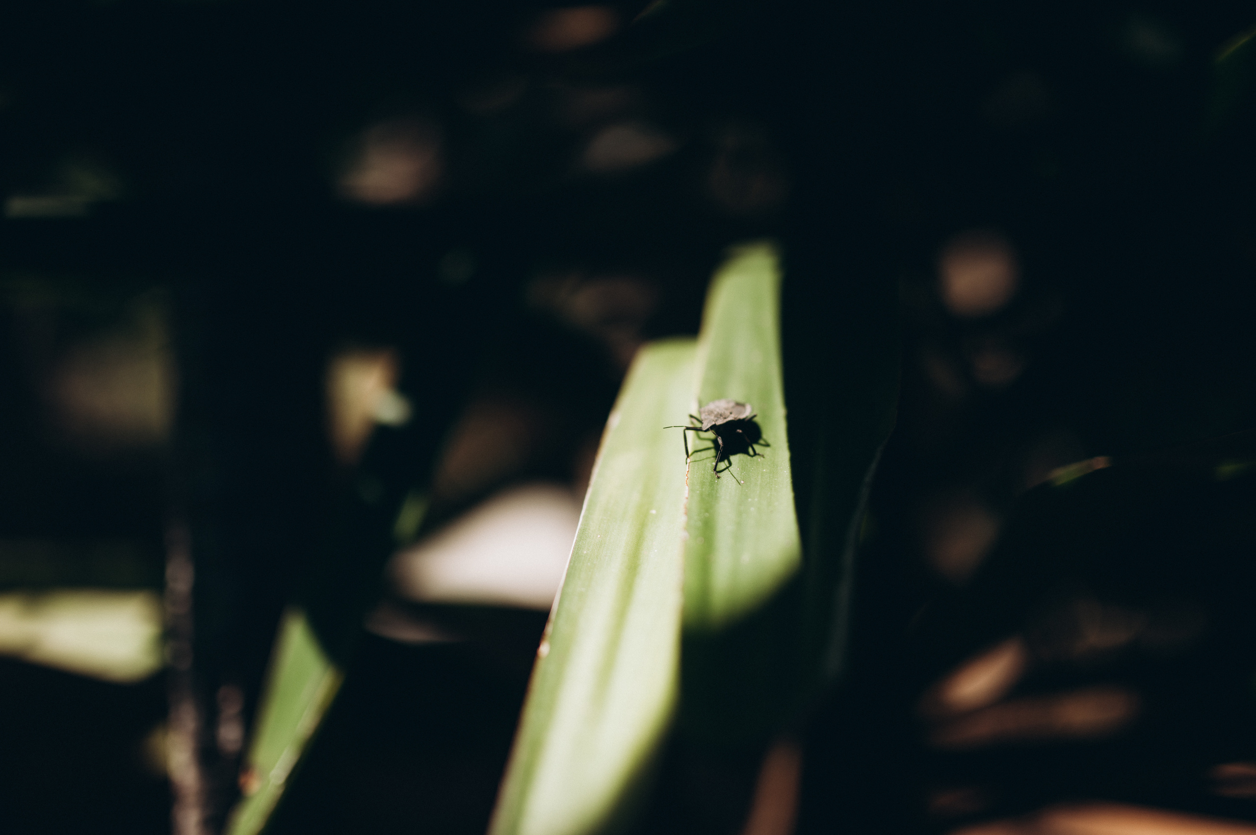 Kate & Jura. Greece. Wedding photograph in europe Vasencev Alexey