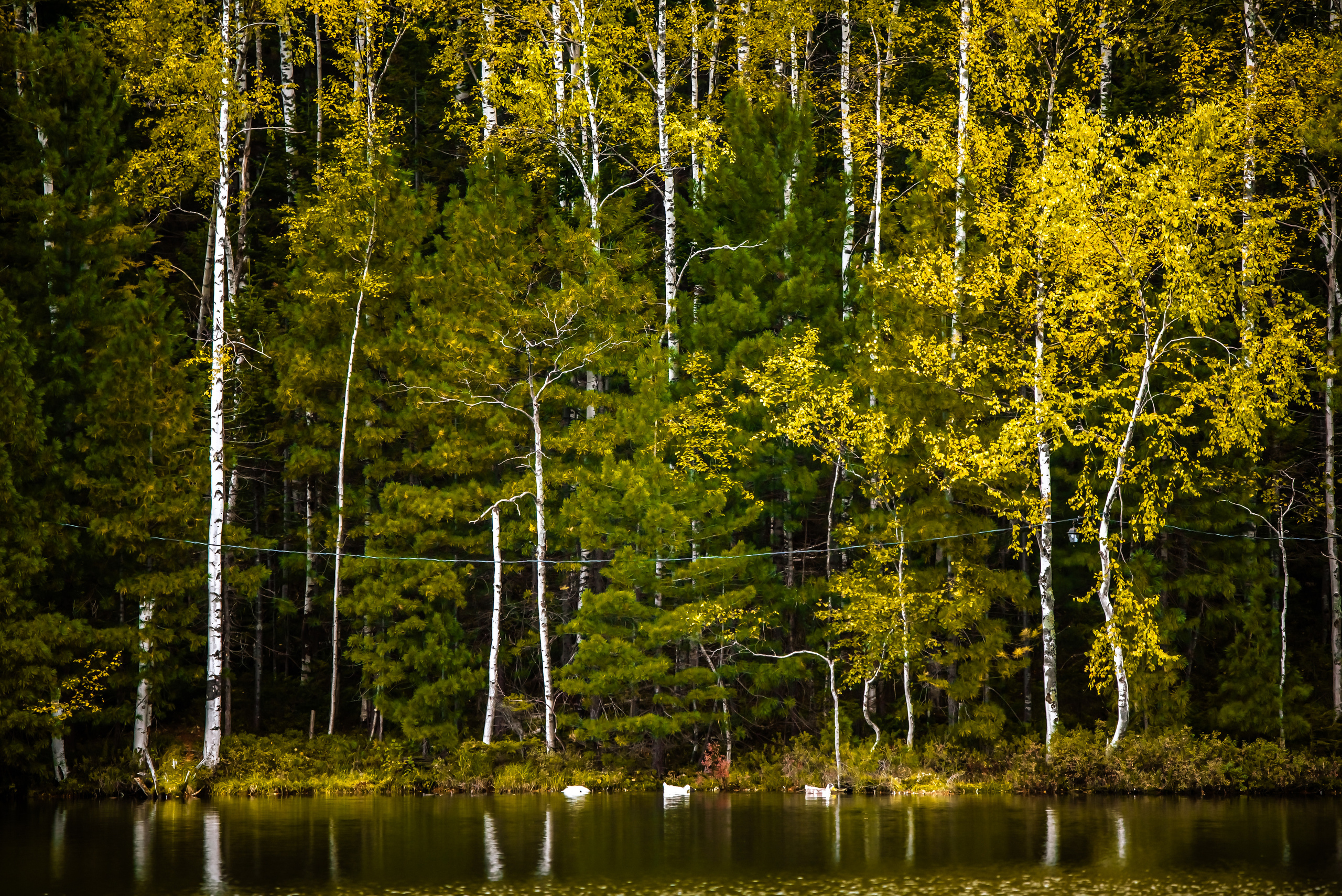 Поездка на теплые озера осенью