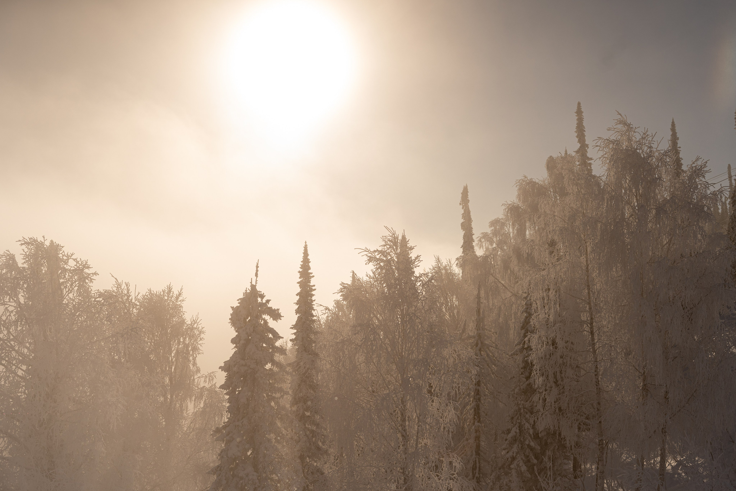 Джой 6.12. Анастасия Паршукова — фотограф Шерегеш Новосибирск
