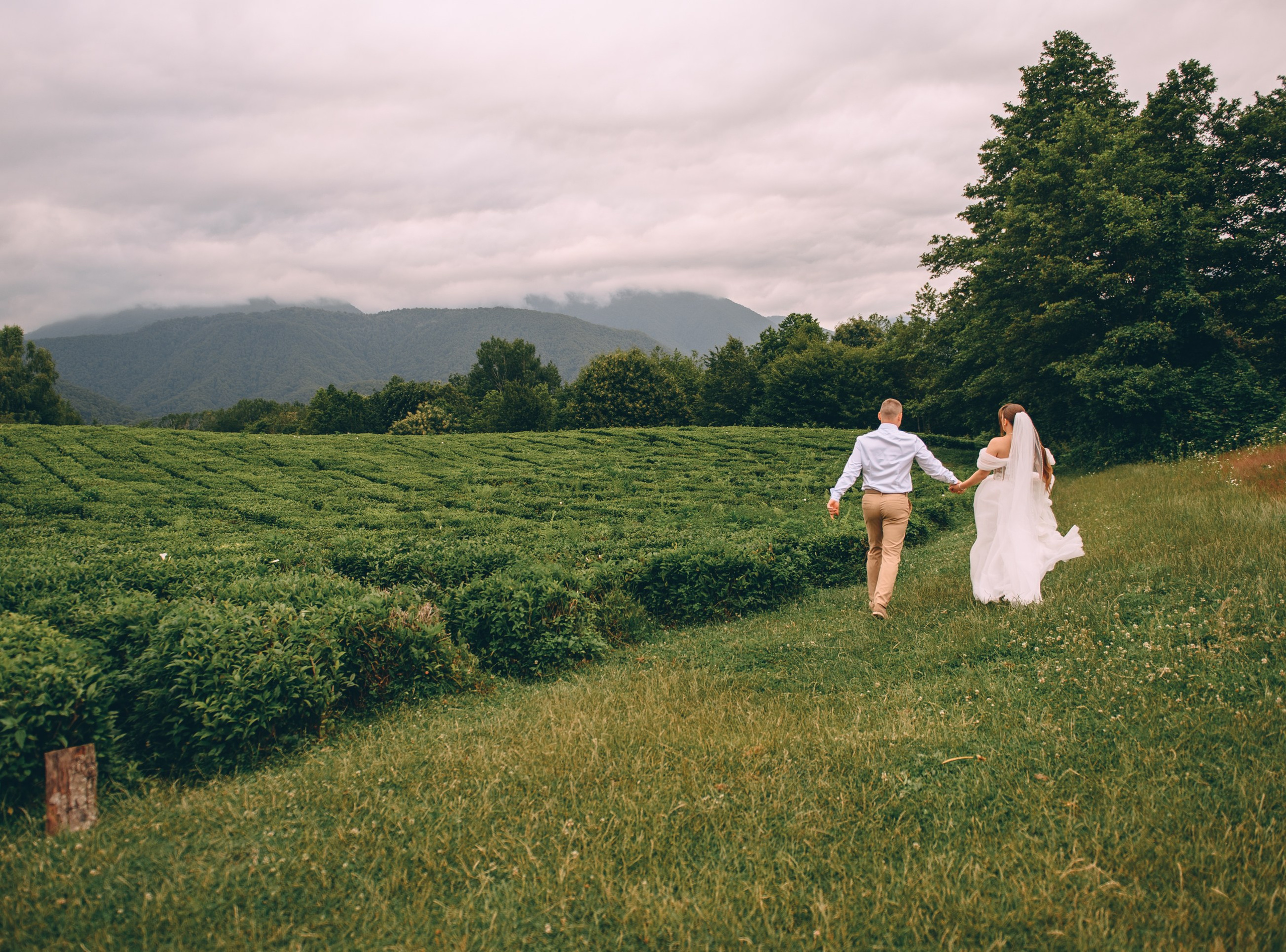 Дагомыс-Солохаул. Свадебный и семейный фотограф София Невская