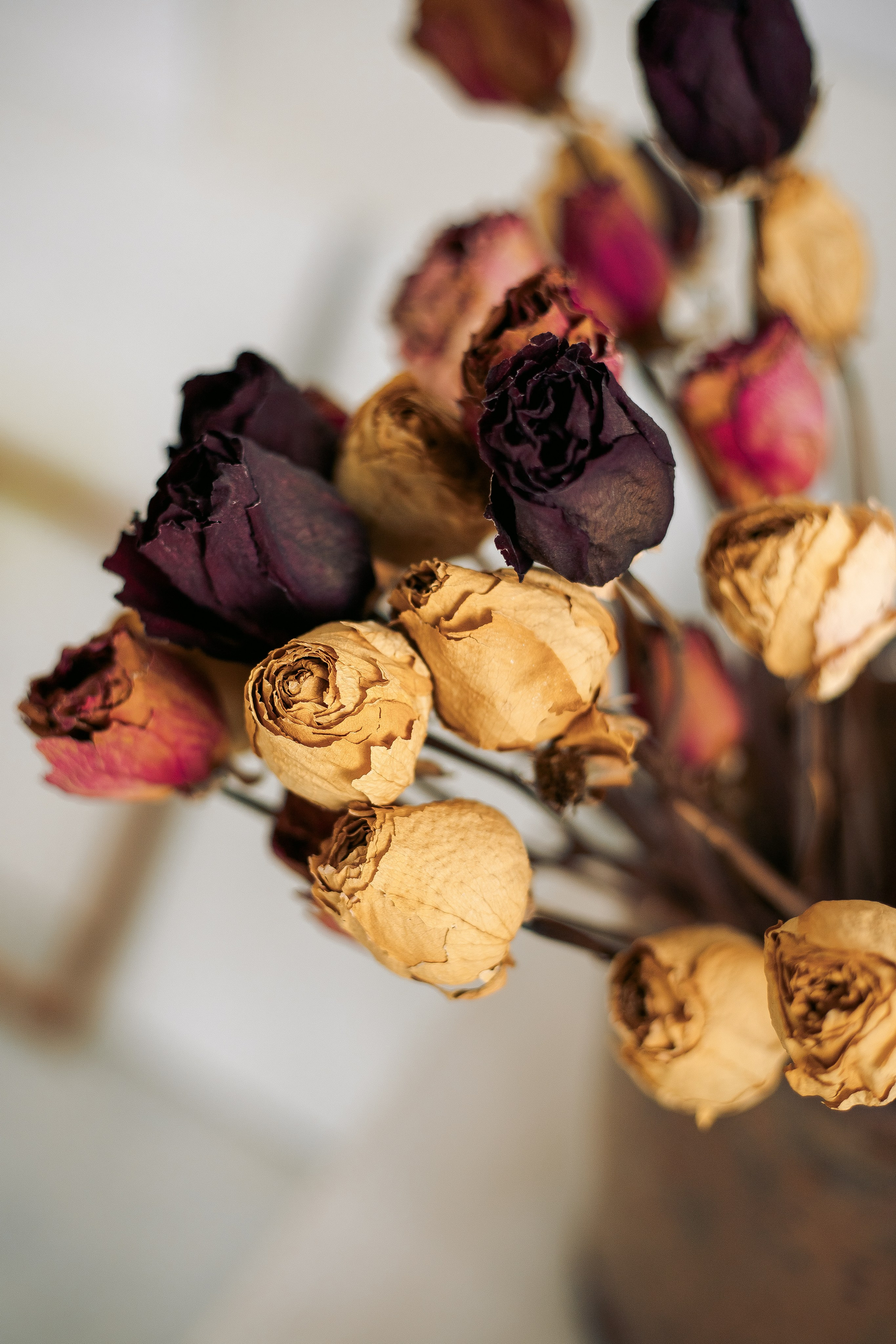 Семейная фотосессия взрослой дочки и мамы в студии. Фотограф в Санкт-Петербурге, Анна Скворцова