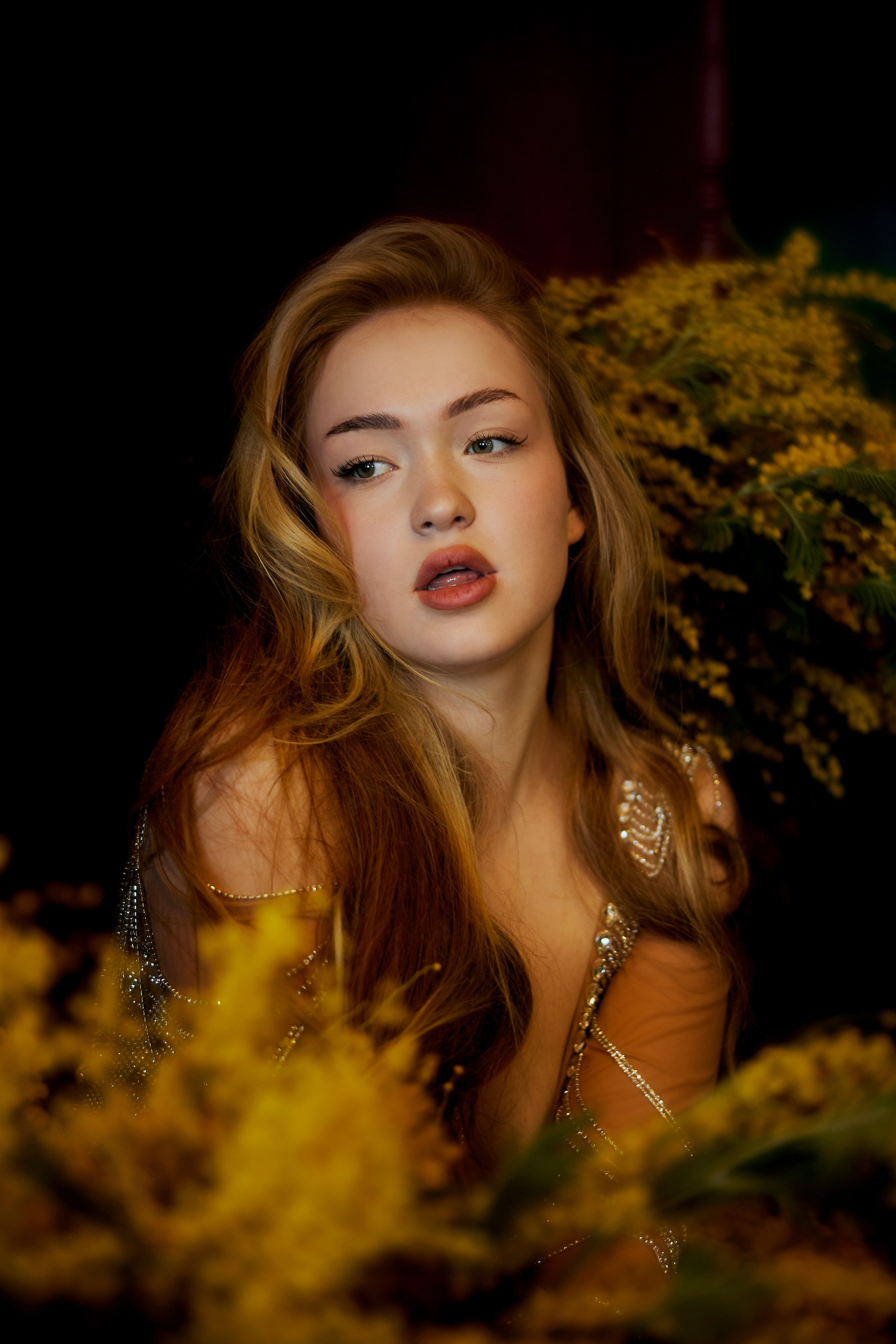 Мимоза 2. Сергей Ирклиенко