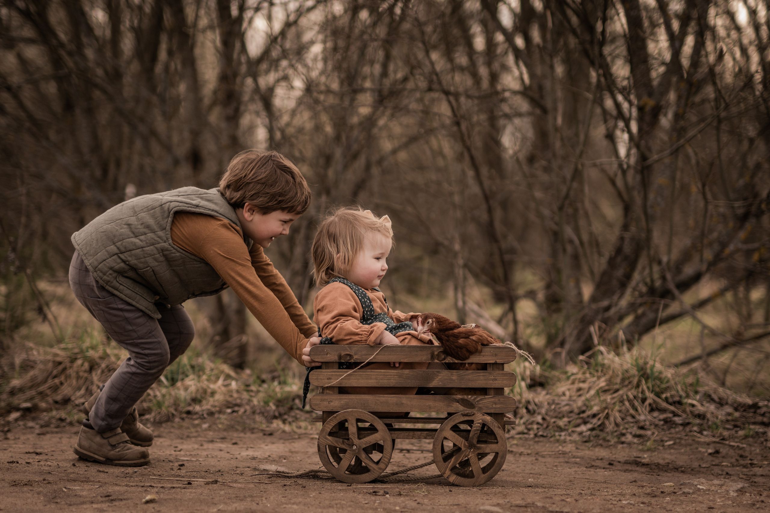 Куриная история. Семейный фотограф Ефремова Виктория