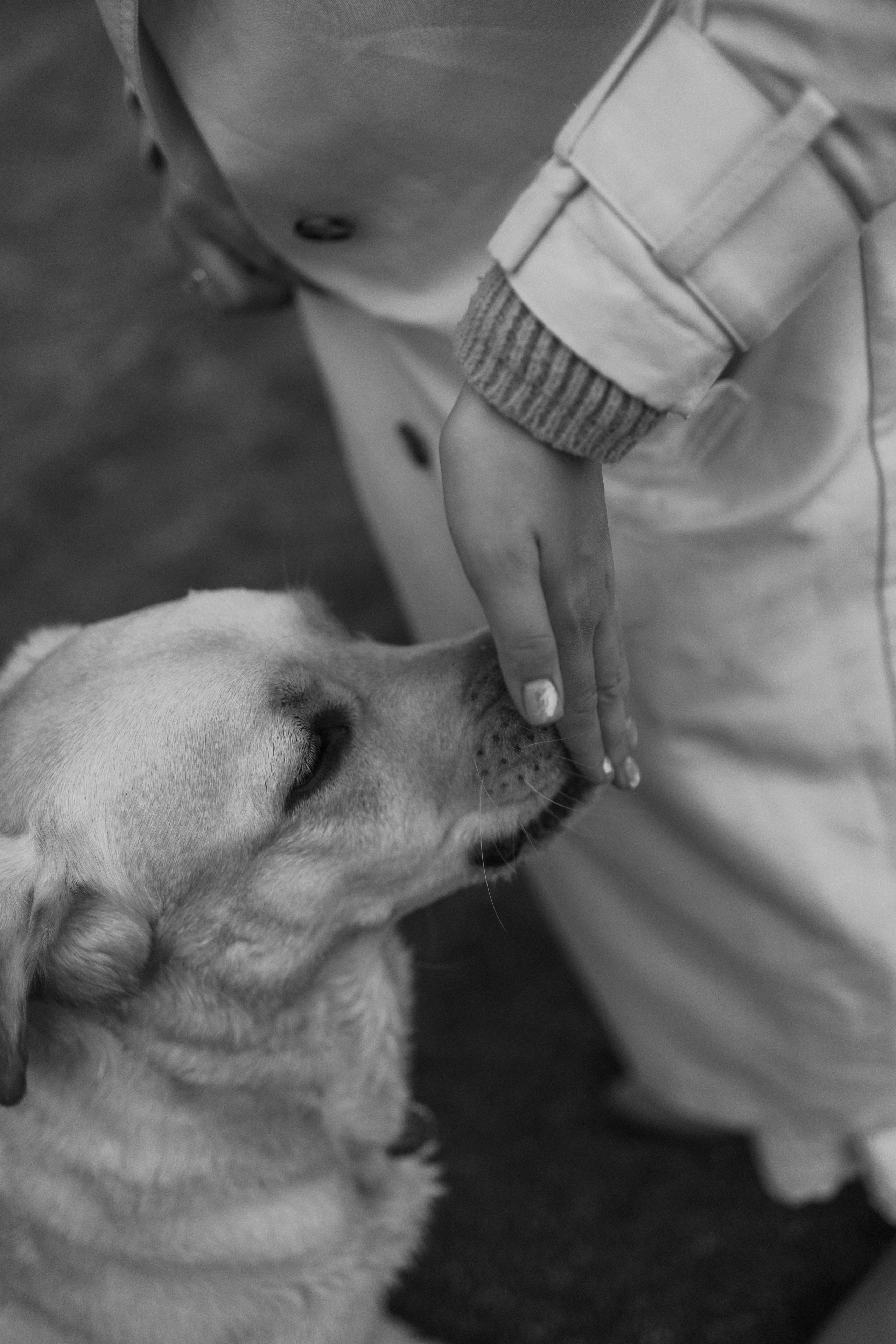 Наташа и Шани. Фотограф — Анималист | Санкт-Петербург