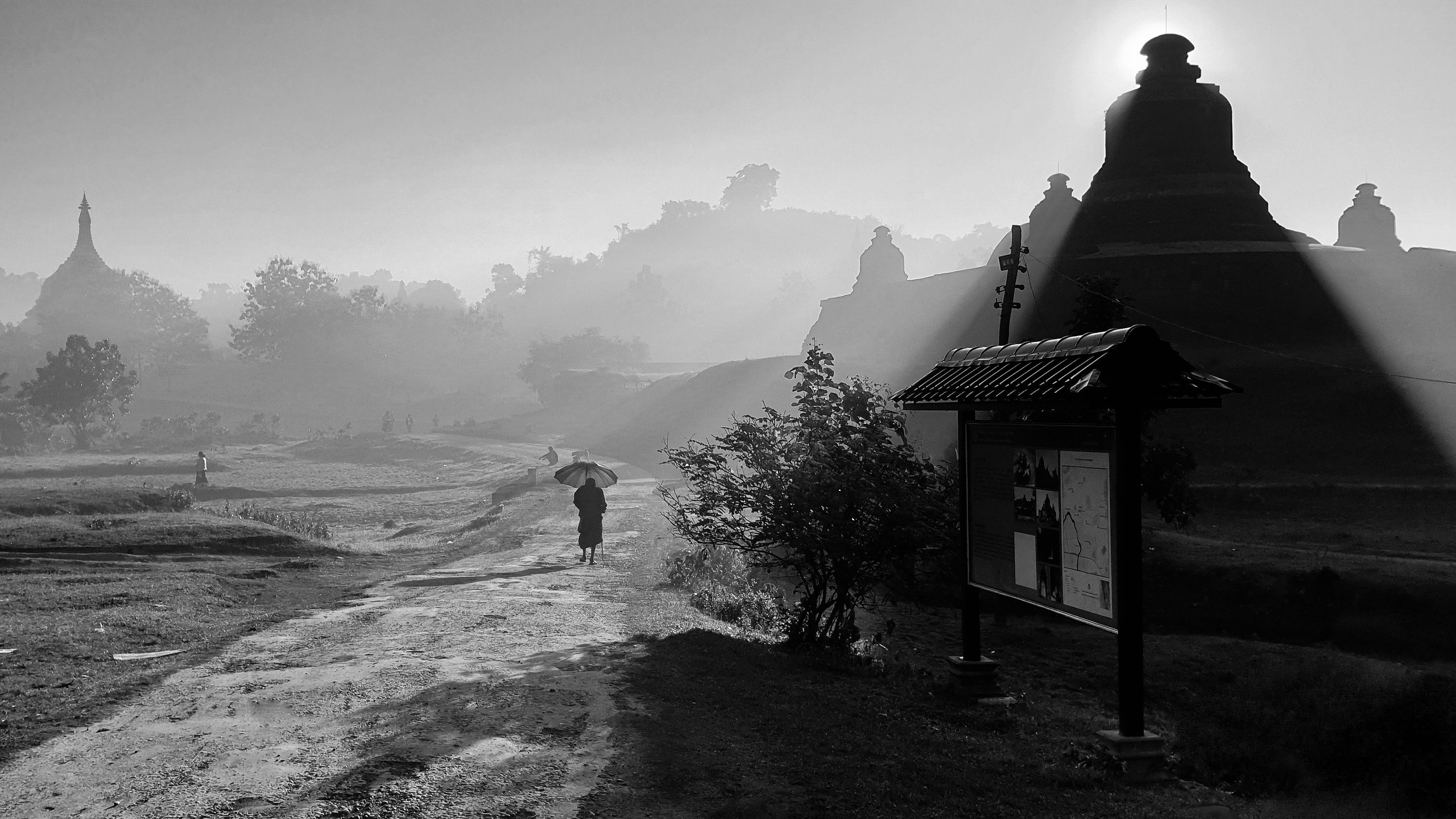 Портфолио. Фотограф в Москве