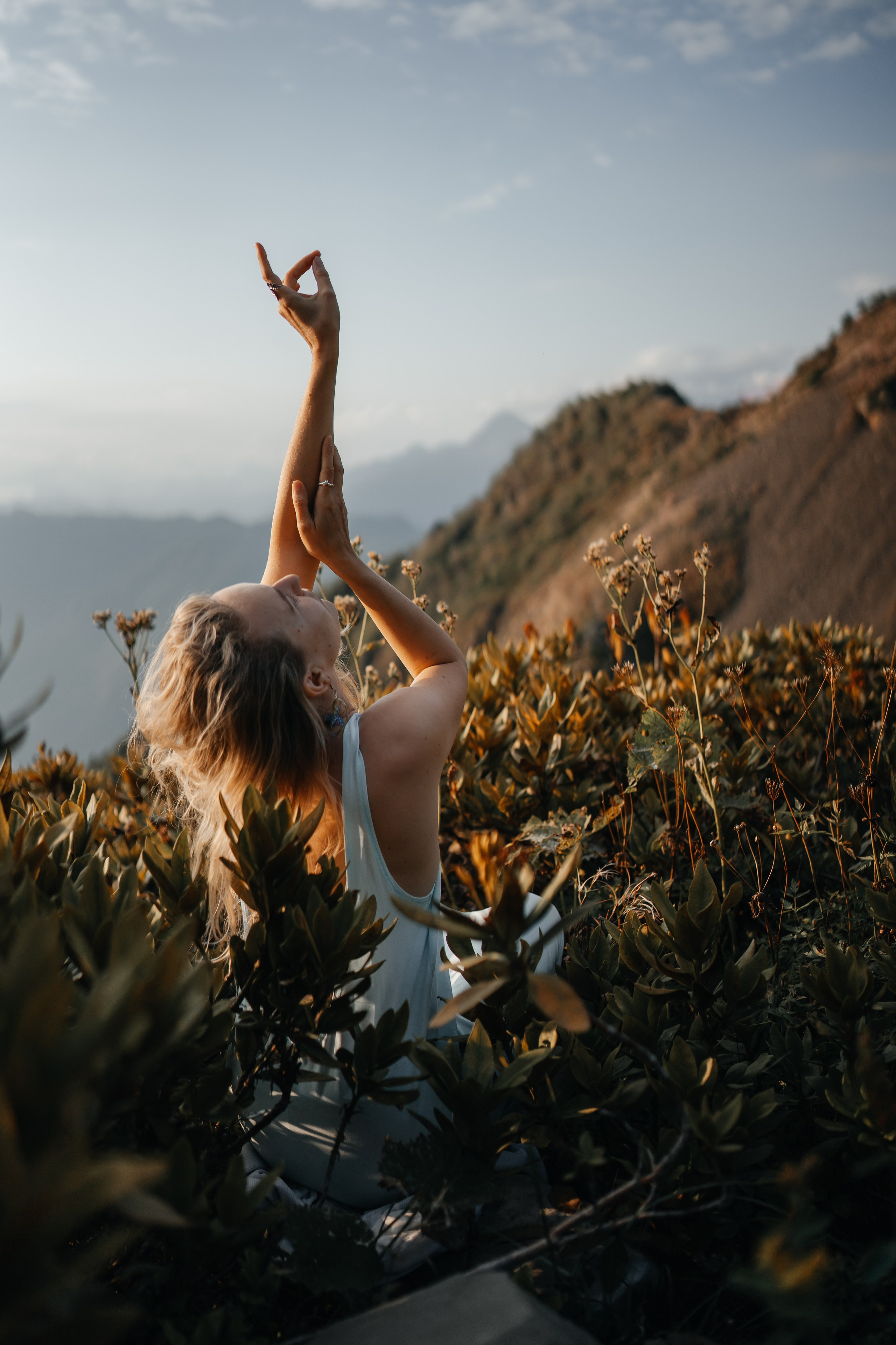 Астра. Главная