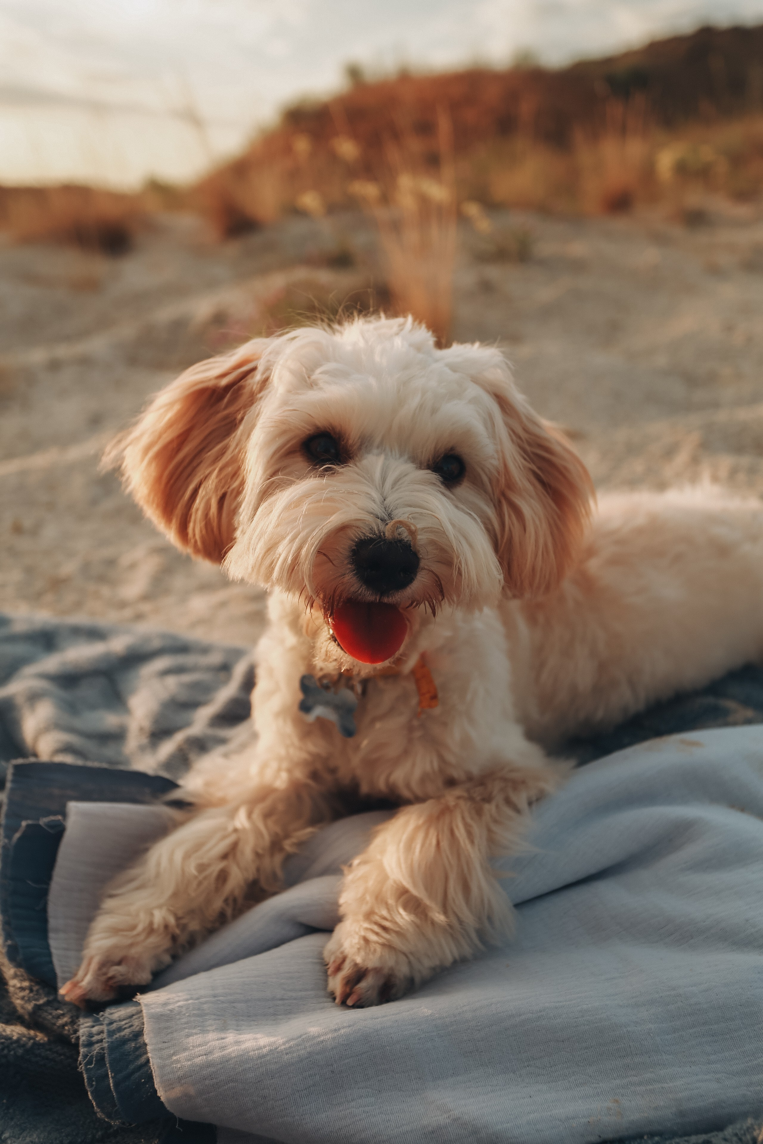 Пикник мамы Жени, Артема и Ксюши. Детский фотограф, Волгоград