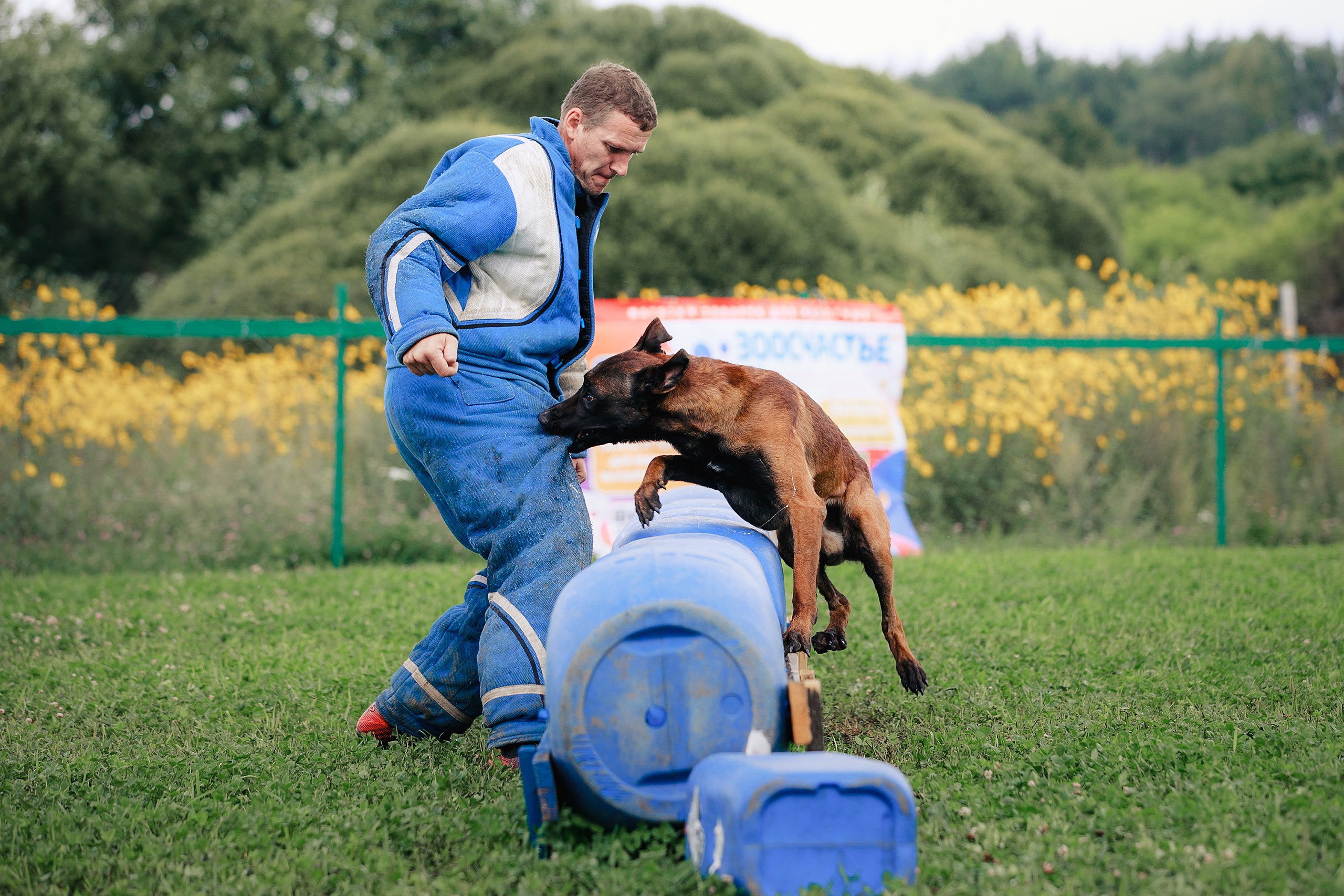 Мондьоринг М1, М2, М3, Вологда. Фотограф-анималист Mary Mart — Москва, Питер