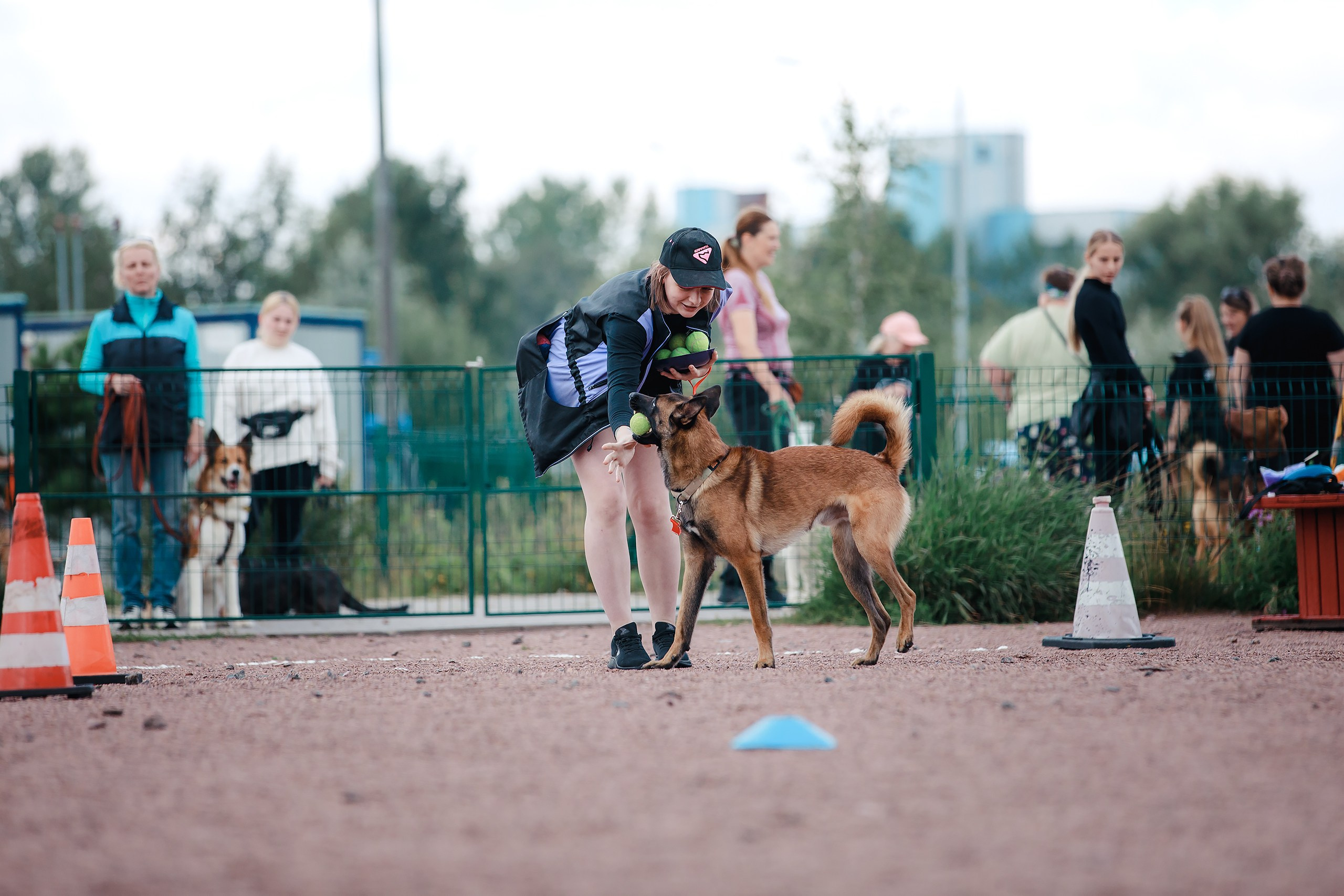 Питч&Гоу + веселые старты. Фотограф-анималист Mary Mart — Москва, Питер