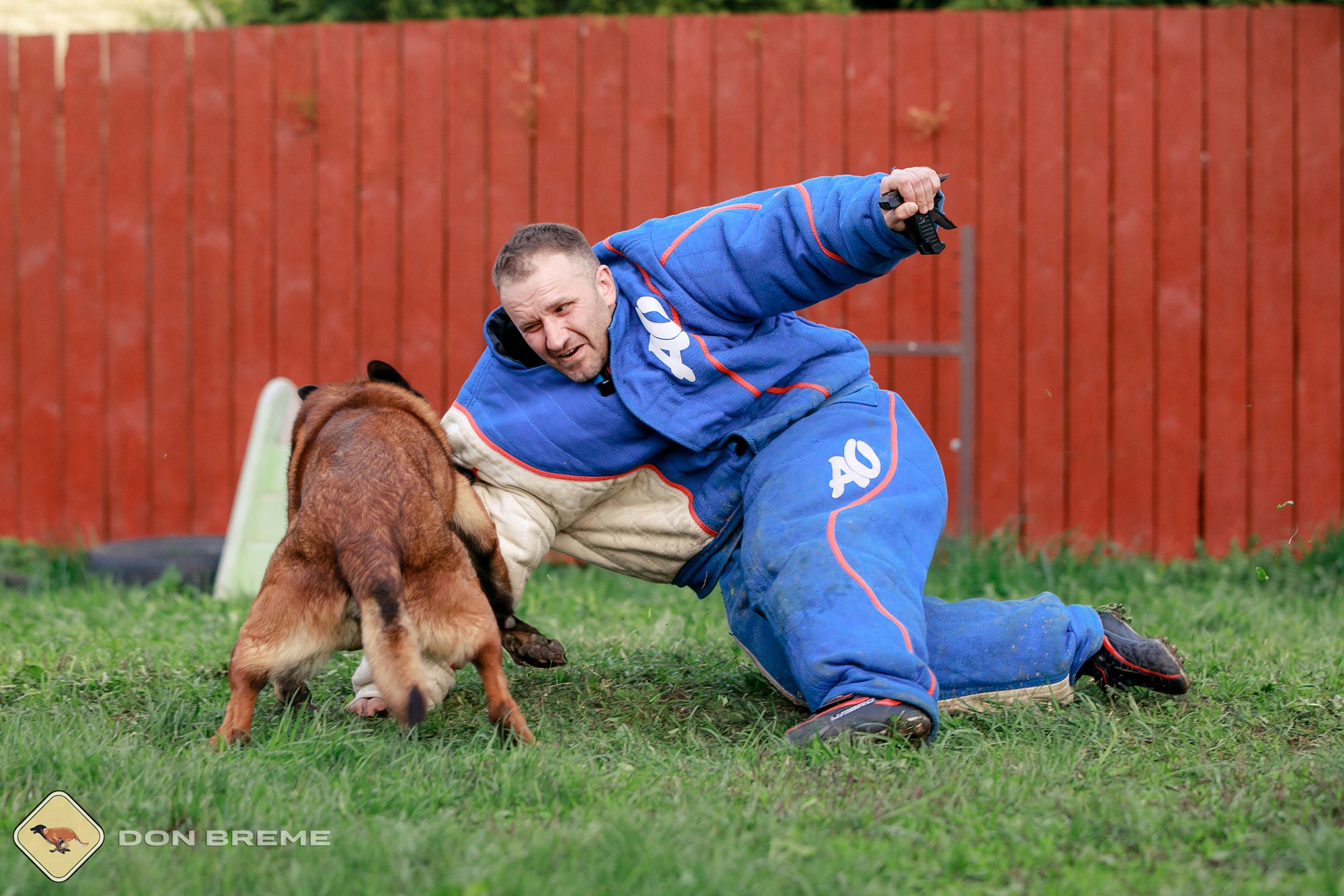 Семинар для фигурантов, день 2. Фотограф-анималист Mary Mart — Москва, Питер