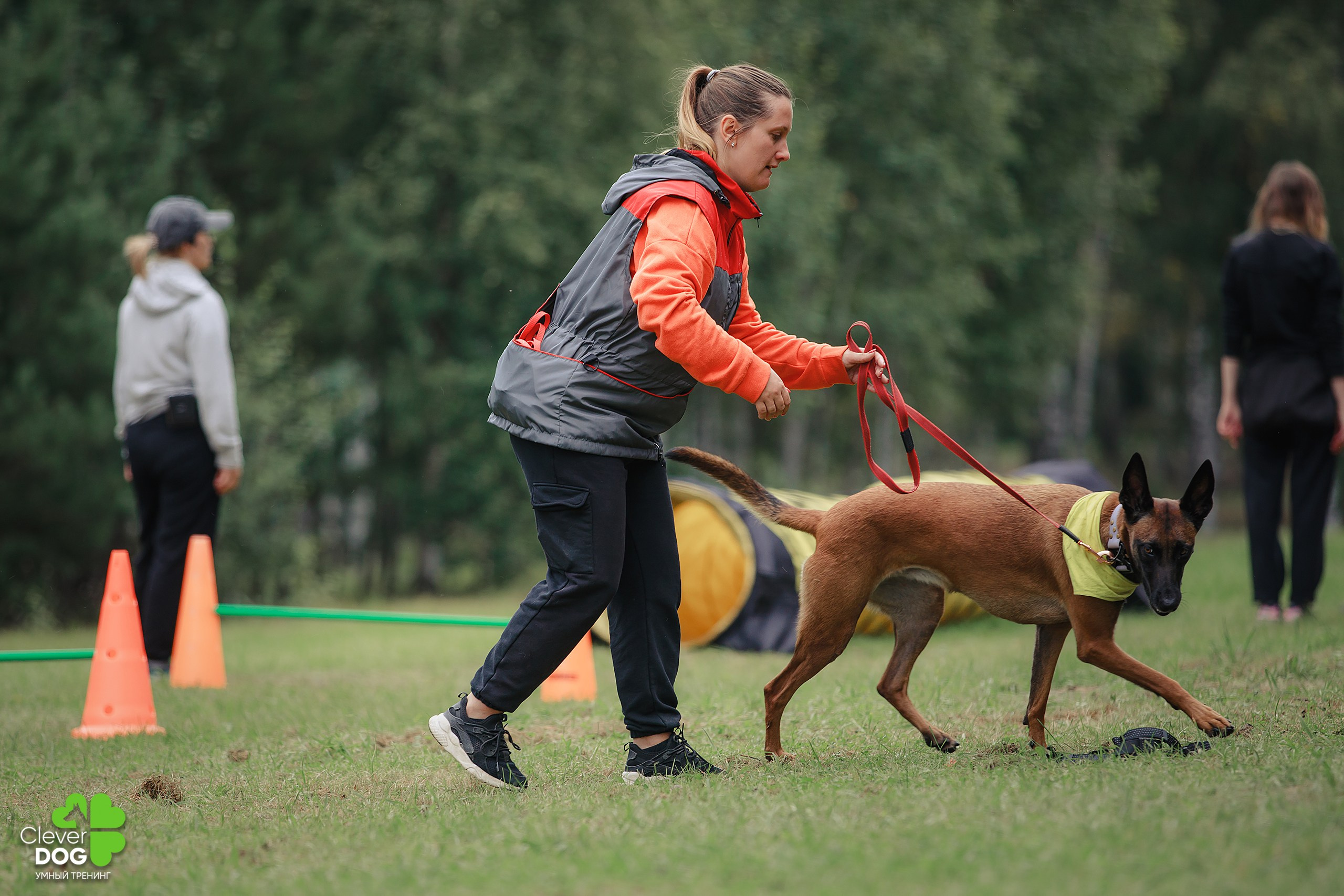 Кинологический лагерь CleverDog, 2024. Фотограф-анималист Mary Mart — Москва, Питер