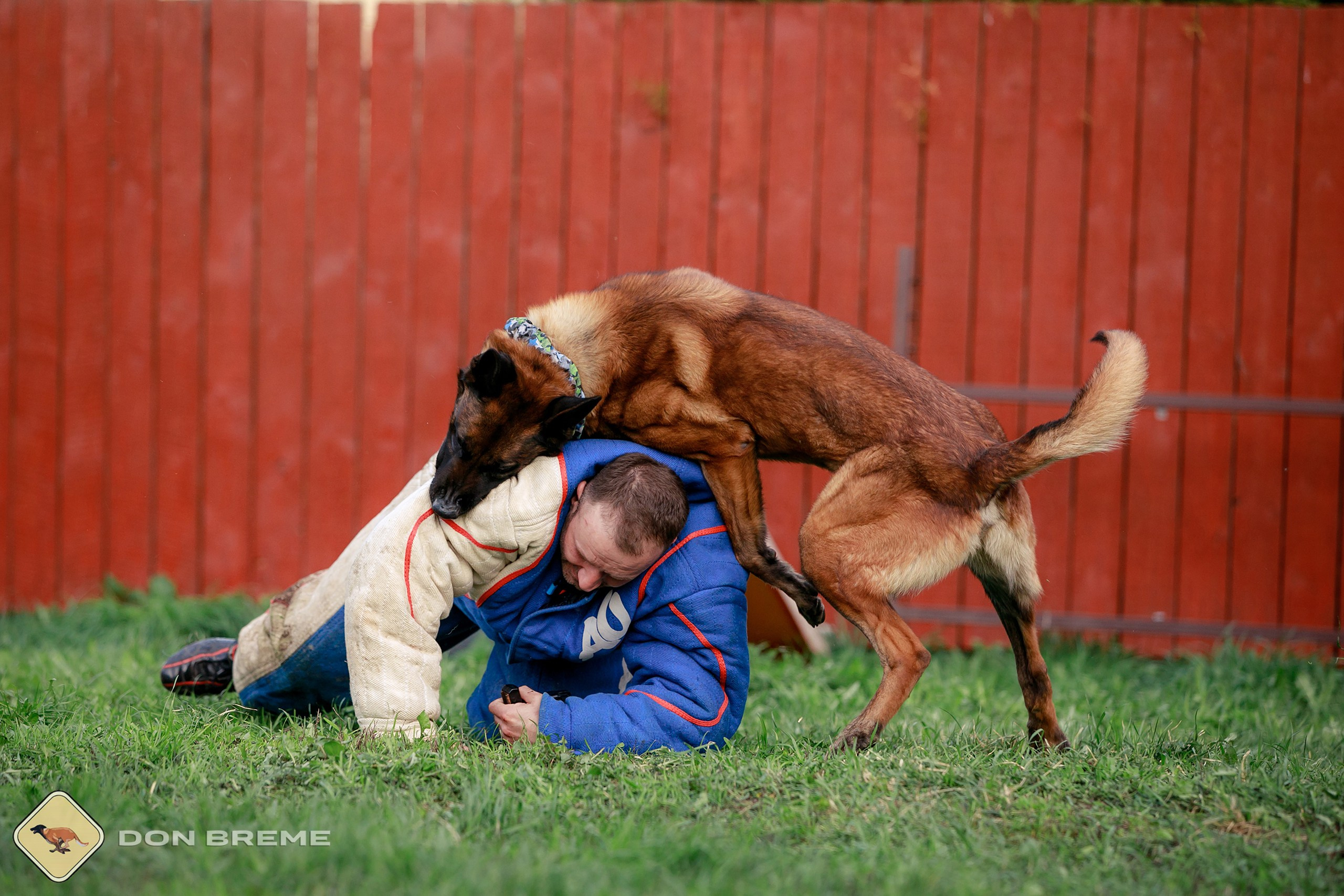 Семинар для фигурантов, день 2. Фотограф-анималист Mary Mart — Москва, Питер