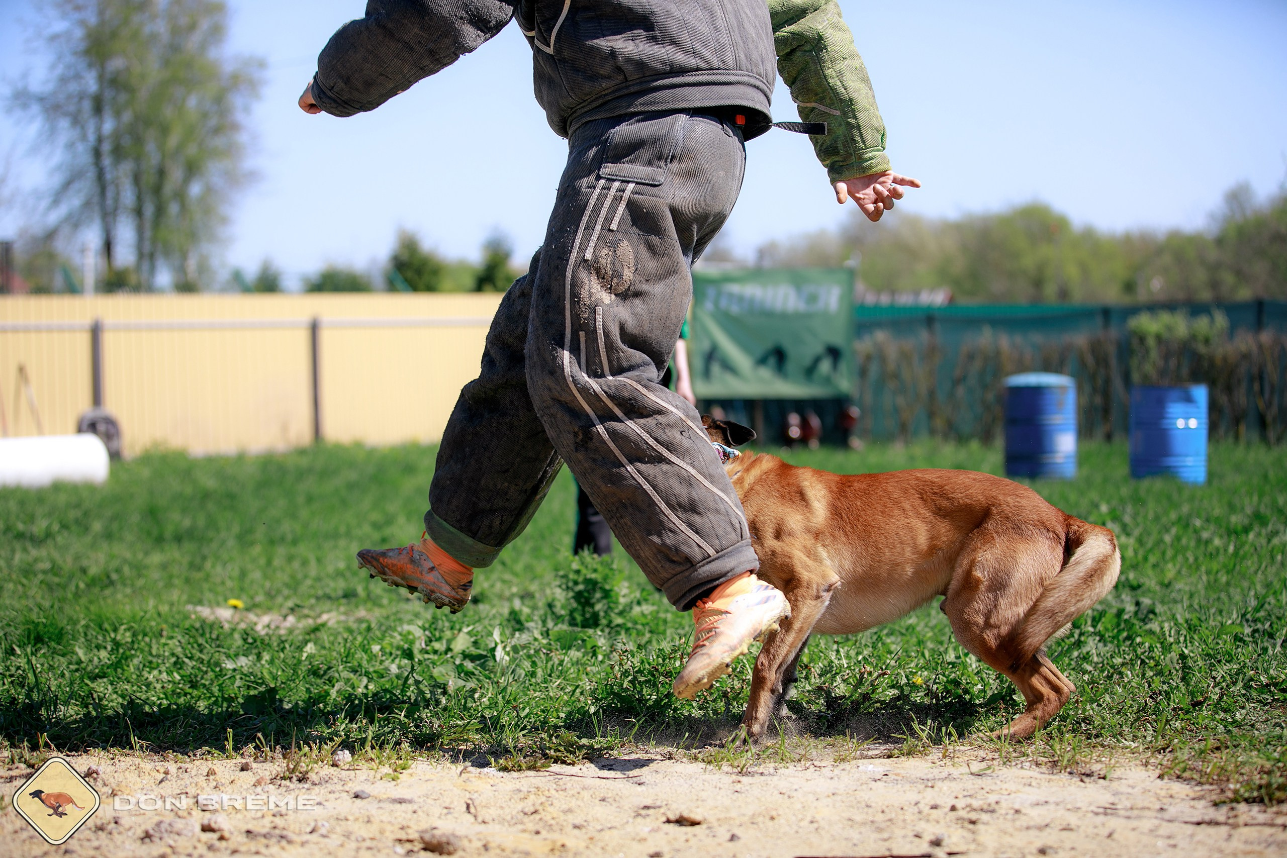 Семинар для фигурантов, день 3. Фотограф-анималист Mary Mart — Москва, Питер