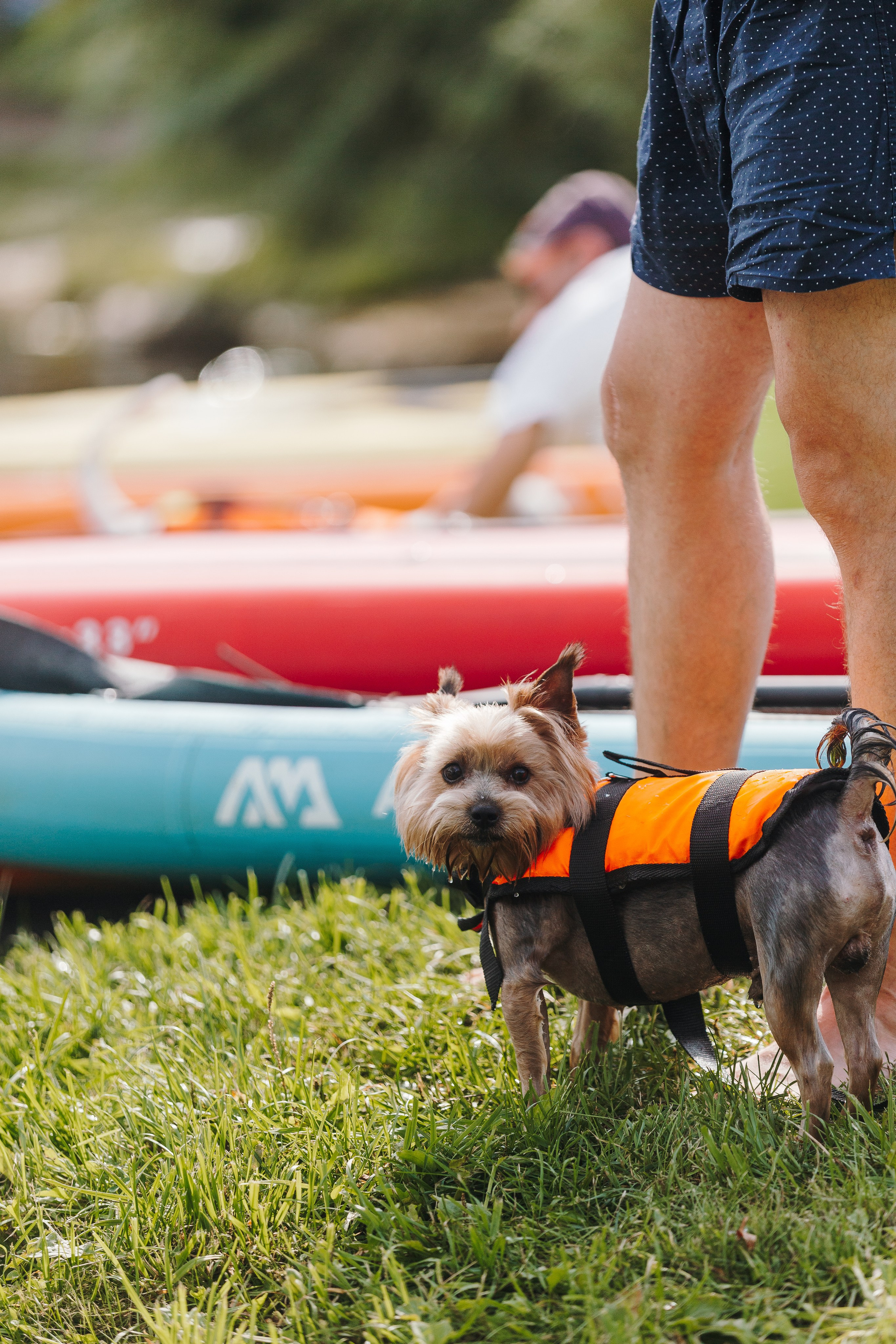 Petshop Sup day. Фотограф анималист Кристина Карпова, Москва