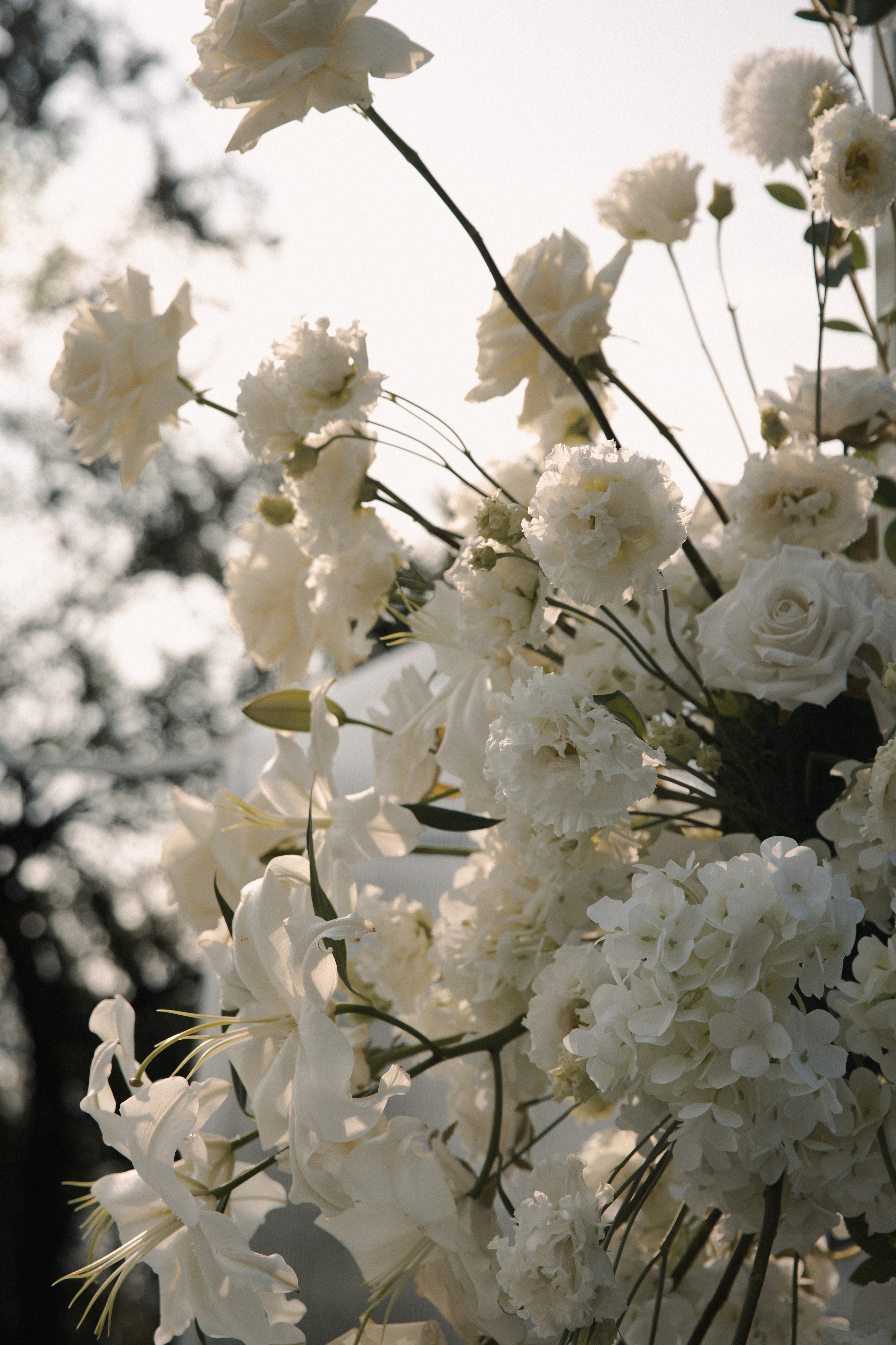 Валерия и Николай. Свадебный и портретный фотограф в Калининграде и Москве Марк Юдинцев