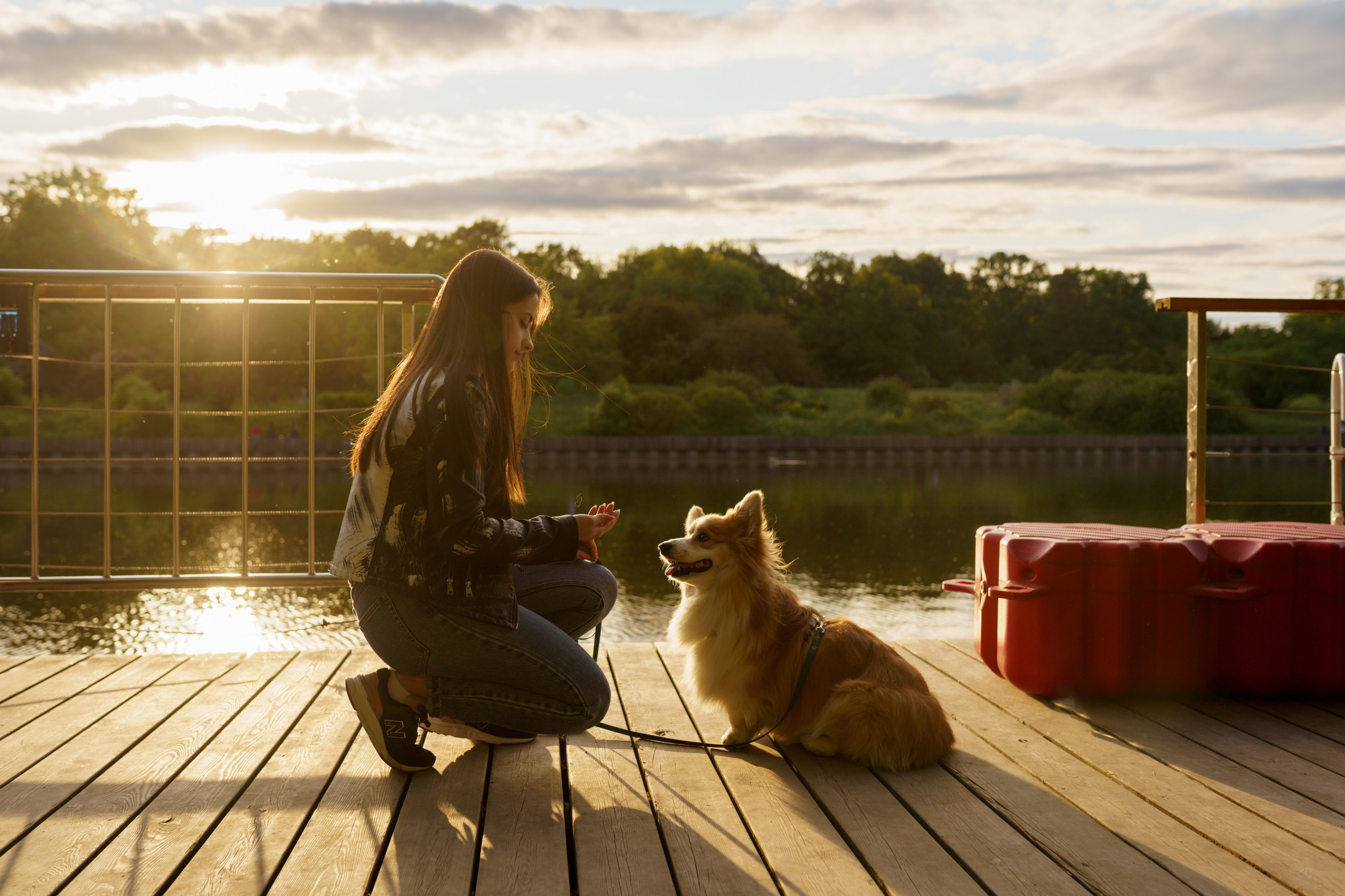 Катя, Арсений и Пух. Свадебный фотограф в Москве Анна Полушина