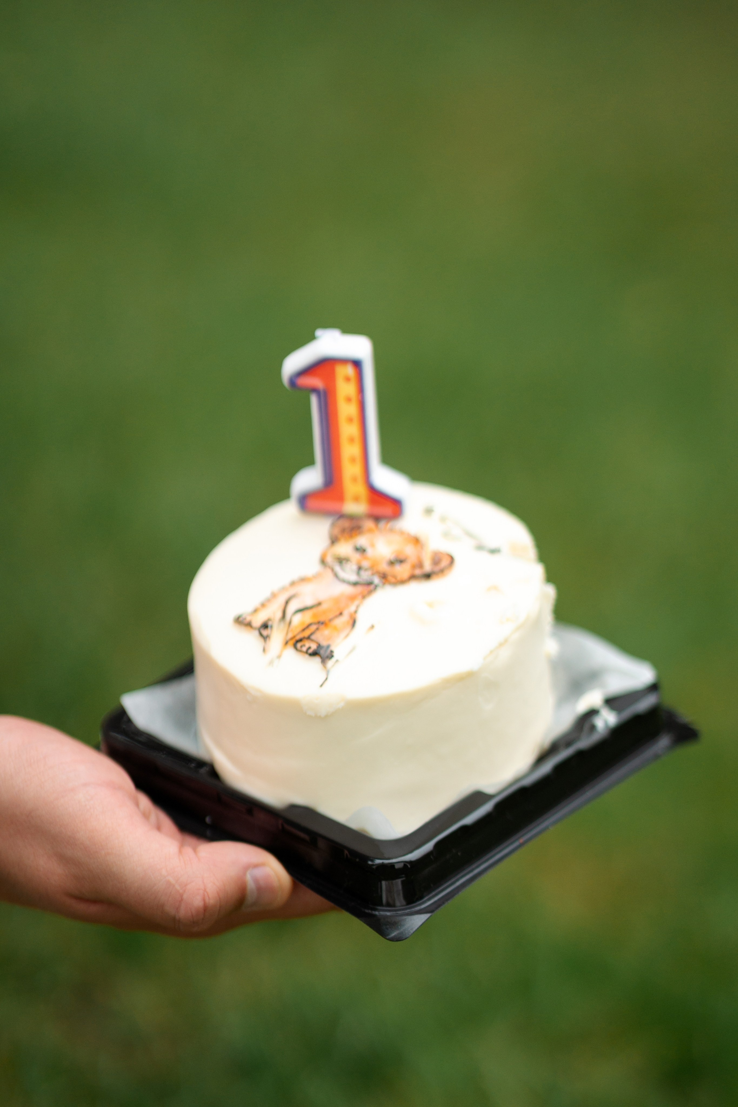 Парк. Фотограф Мария Зайчик