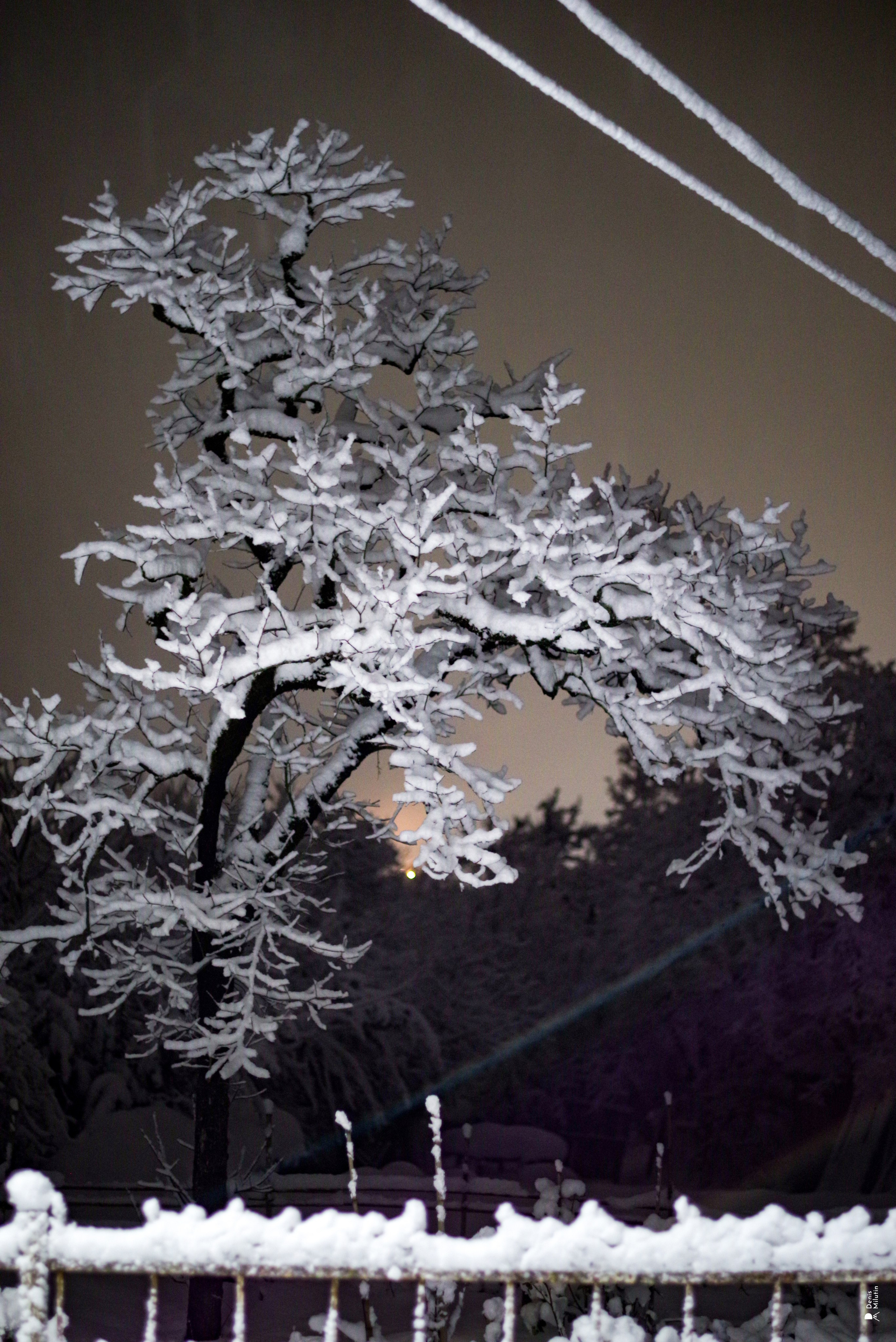 Ночь в Менджи. Портретный фотограф Денис Милютин