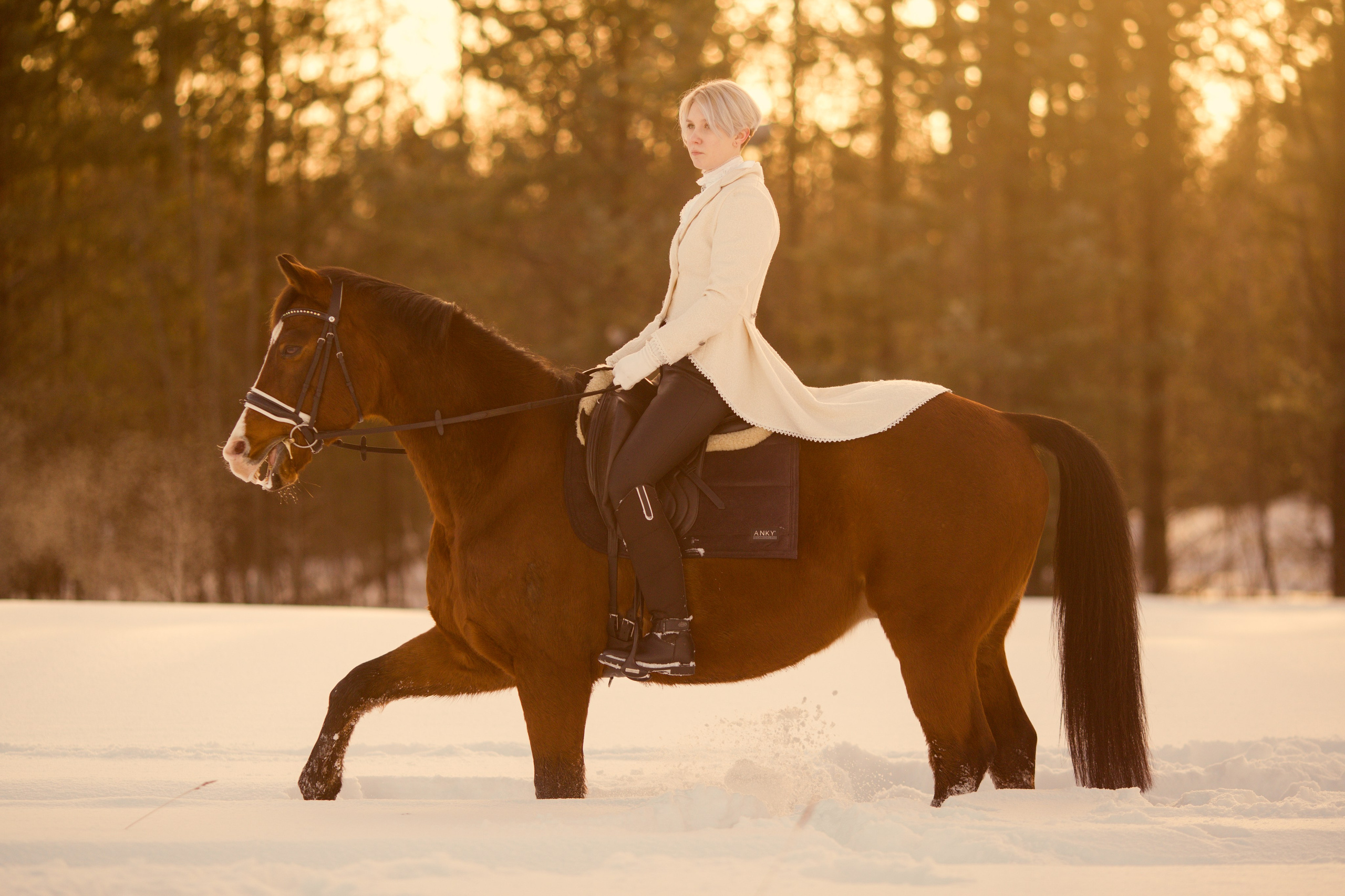 Фотосессия с лошадью зимой на фоне ёлок