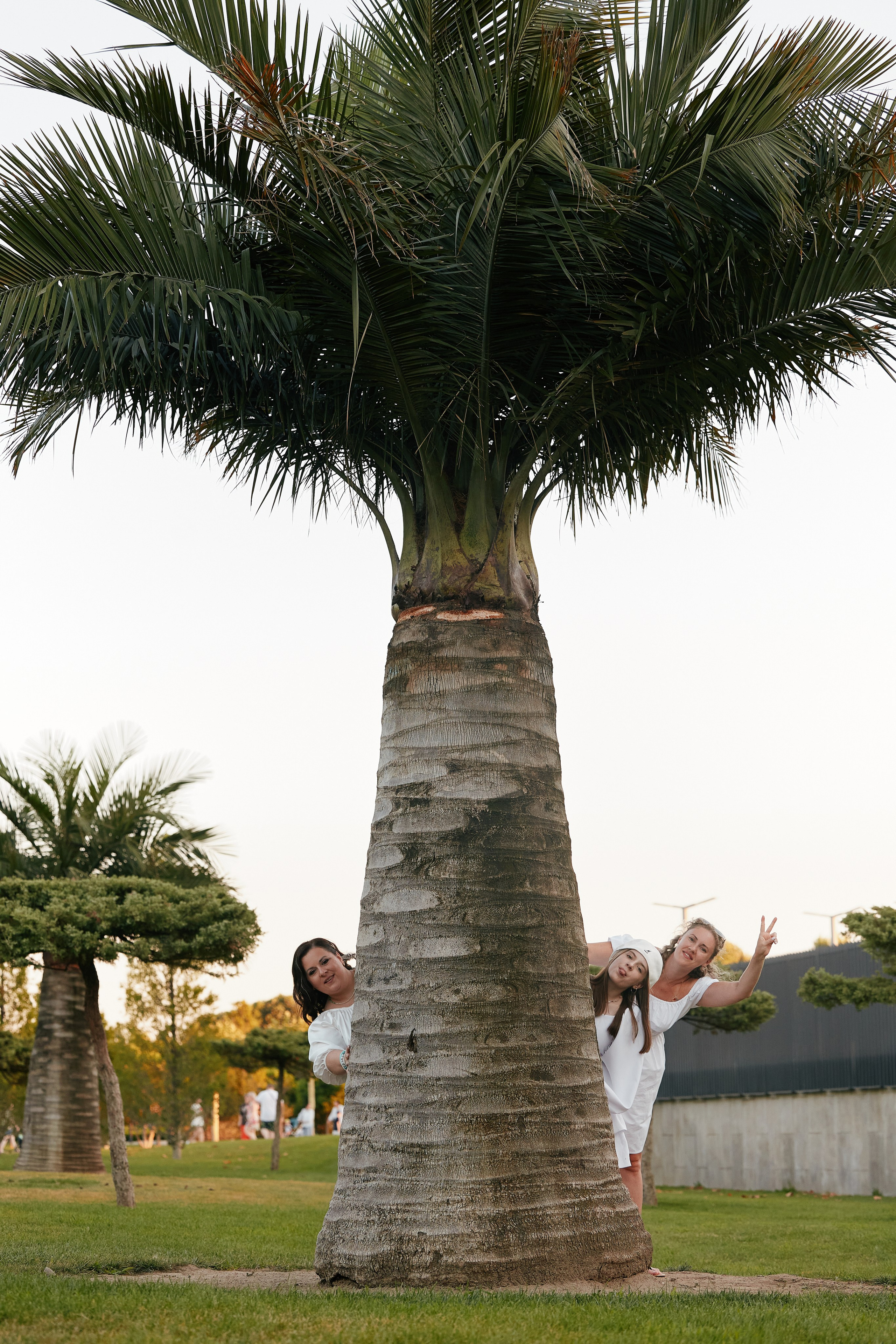Праздник в парке Краснодар 25.07. Свадебный репортажный фотограф краснодар максим дремов дрёмов фотосессия студия цена