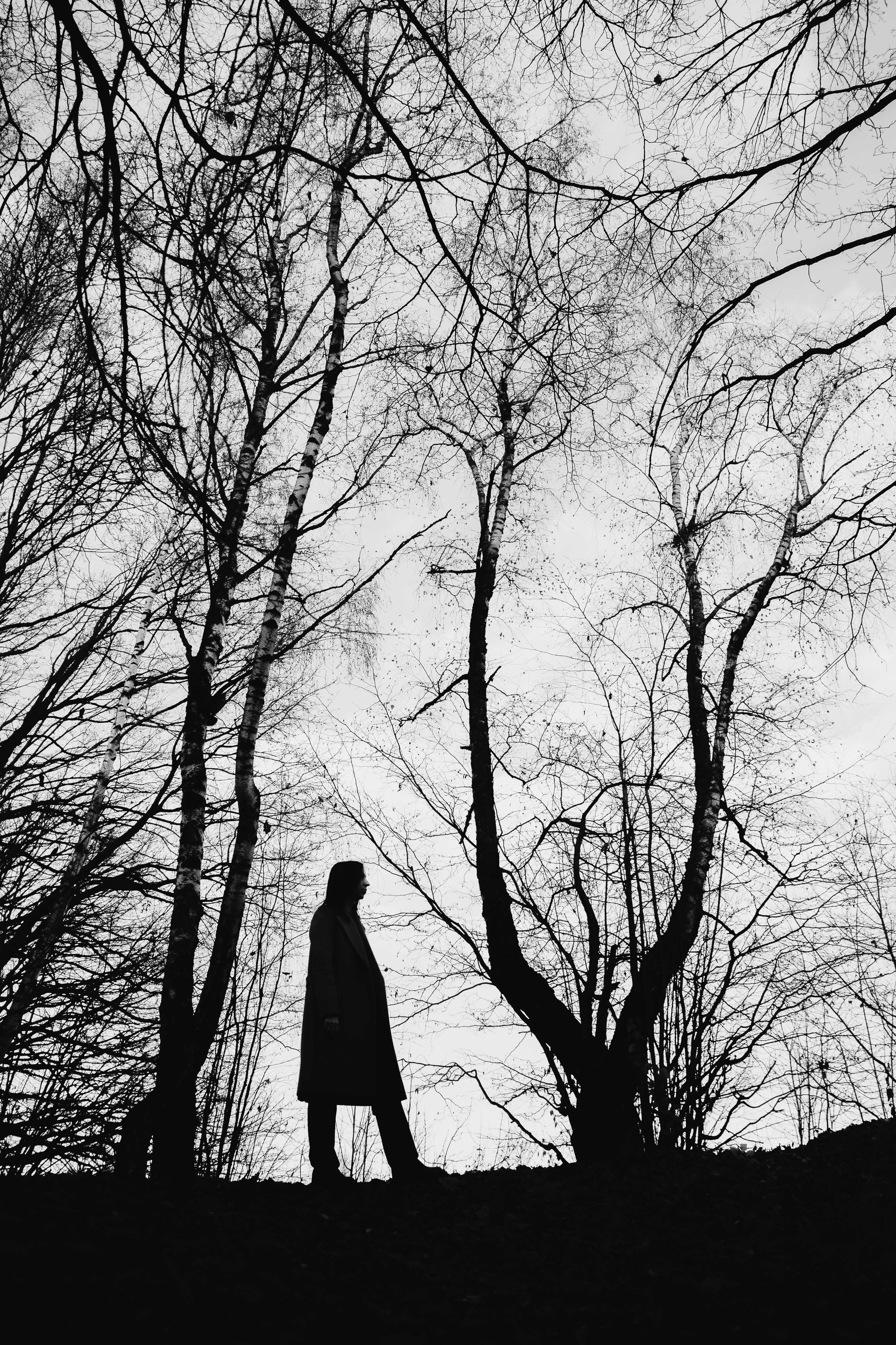 Фотопрогулка. Главная