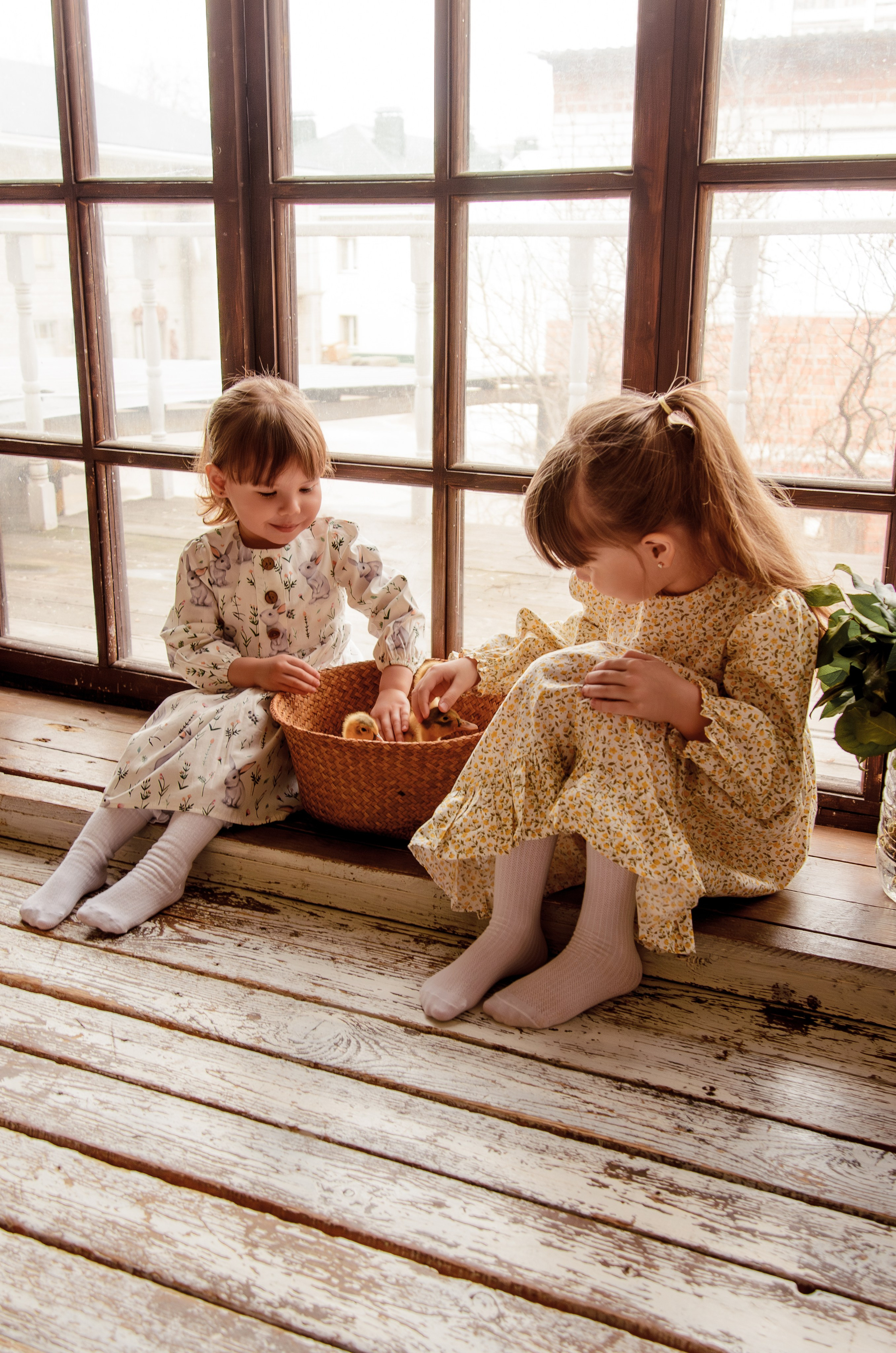 Маленькие кря-кря. Фотографы в Тюмени Андрей и Лидия Войвод