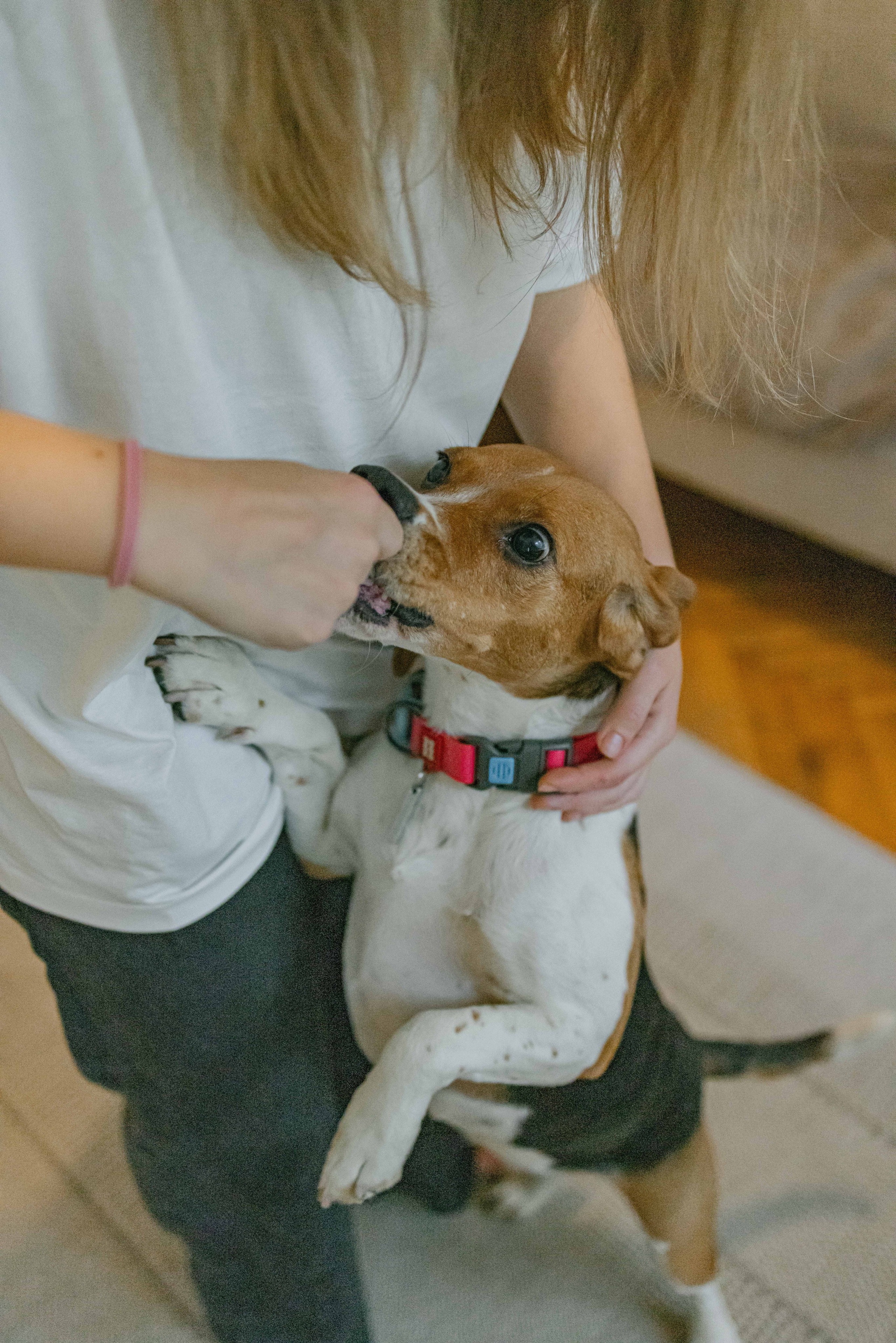 Света и Ива. Фотограф-анималист в Москве Лера Черноног