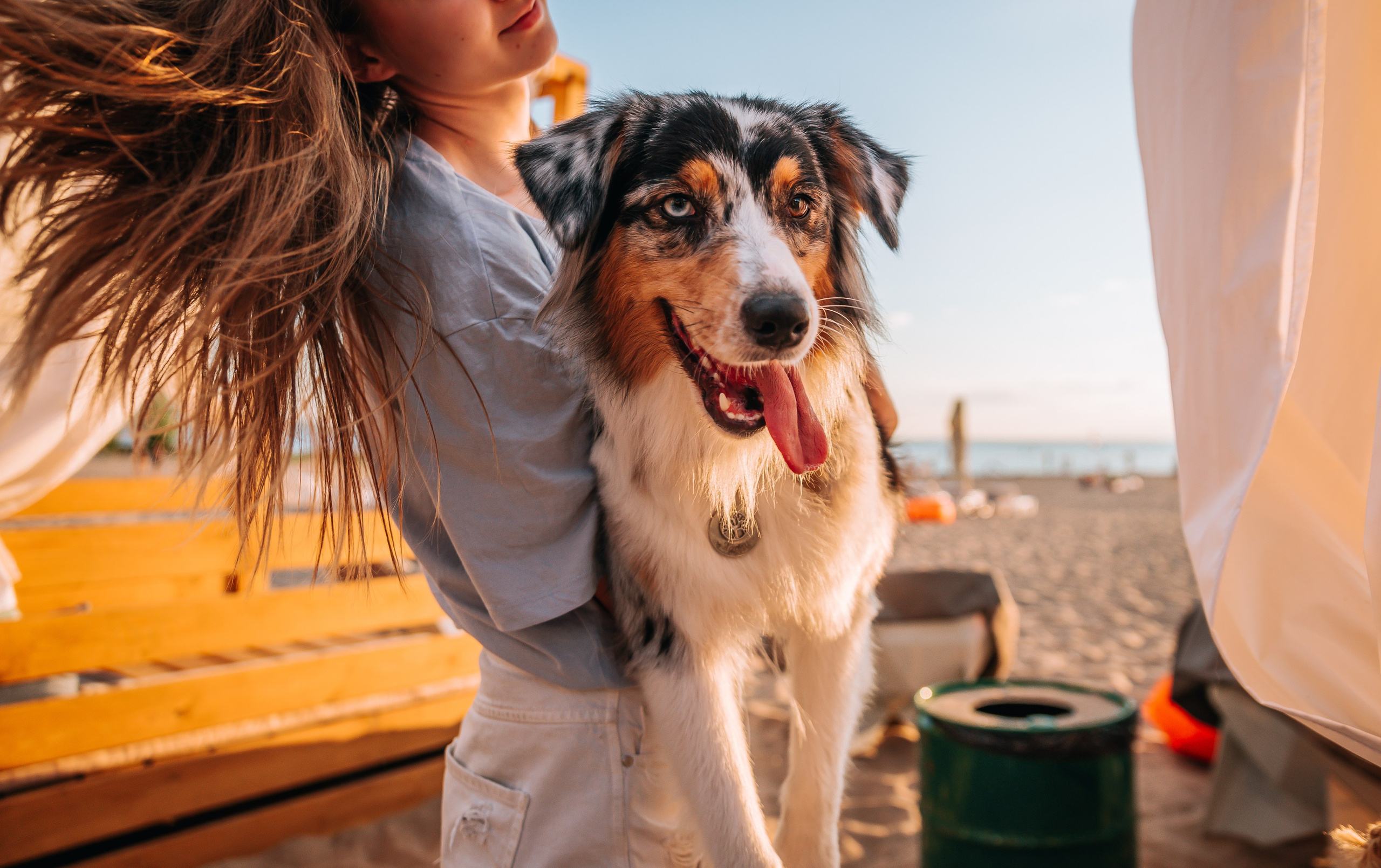 No Bad Days. Главная