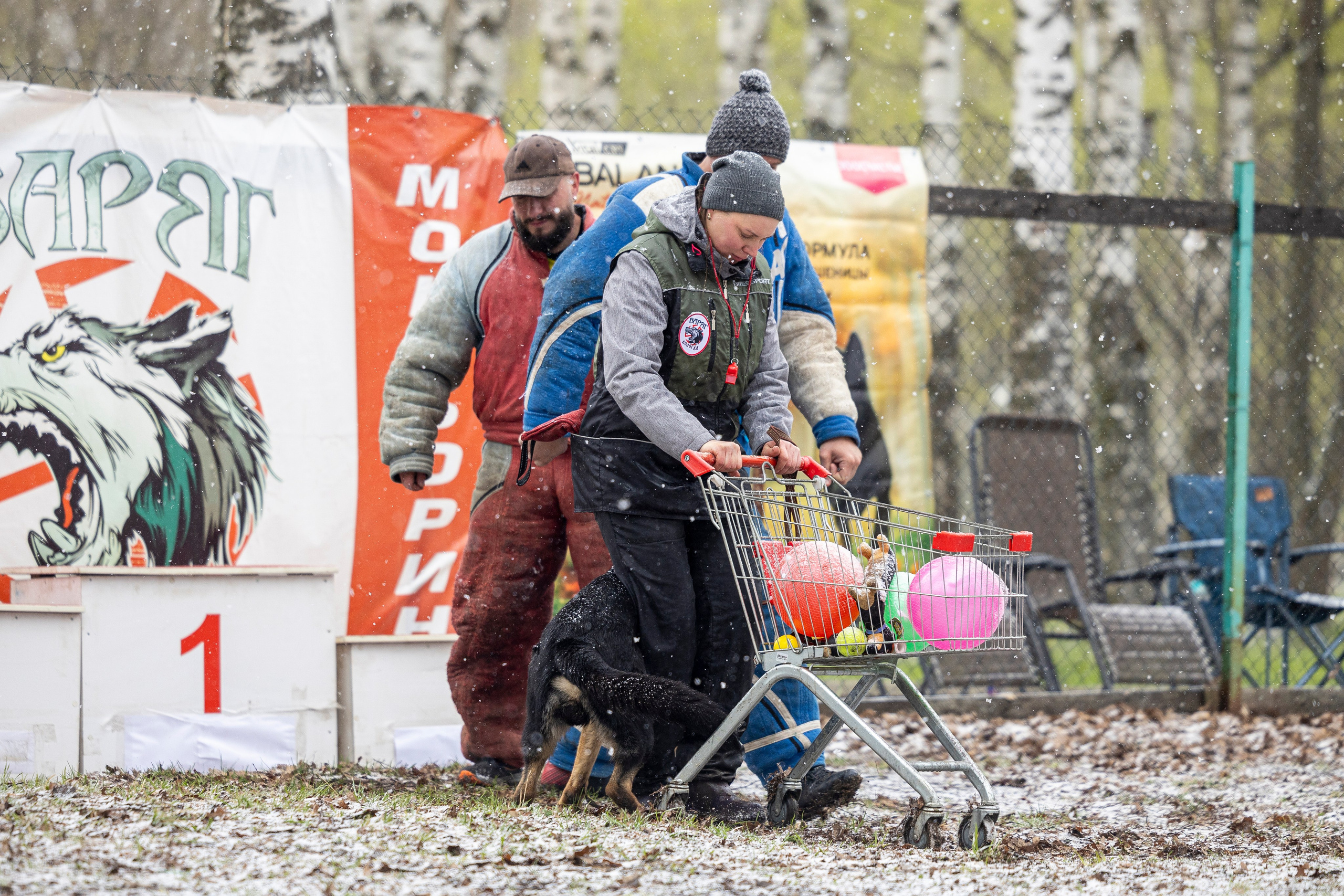 Квалификационные состязания по мондьорингу г. Вологда 11.05.24. Фотограф-анималист Анна Маринич