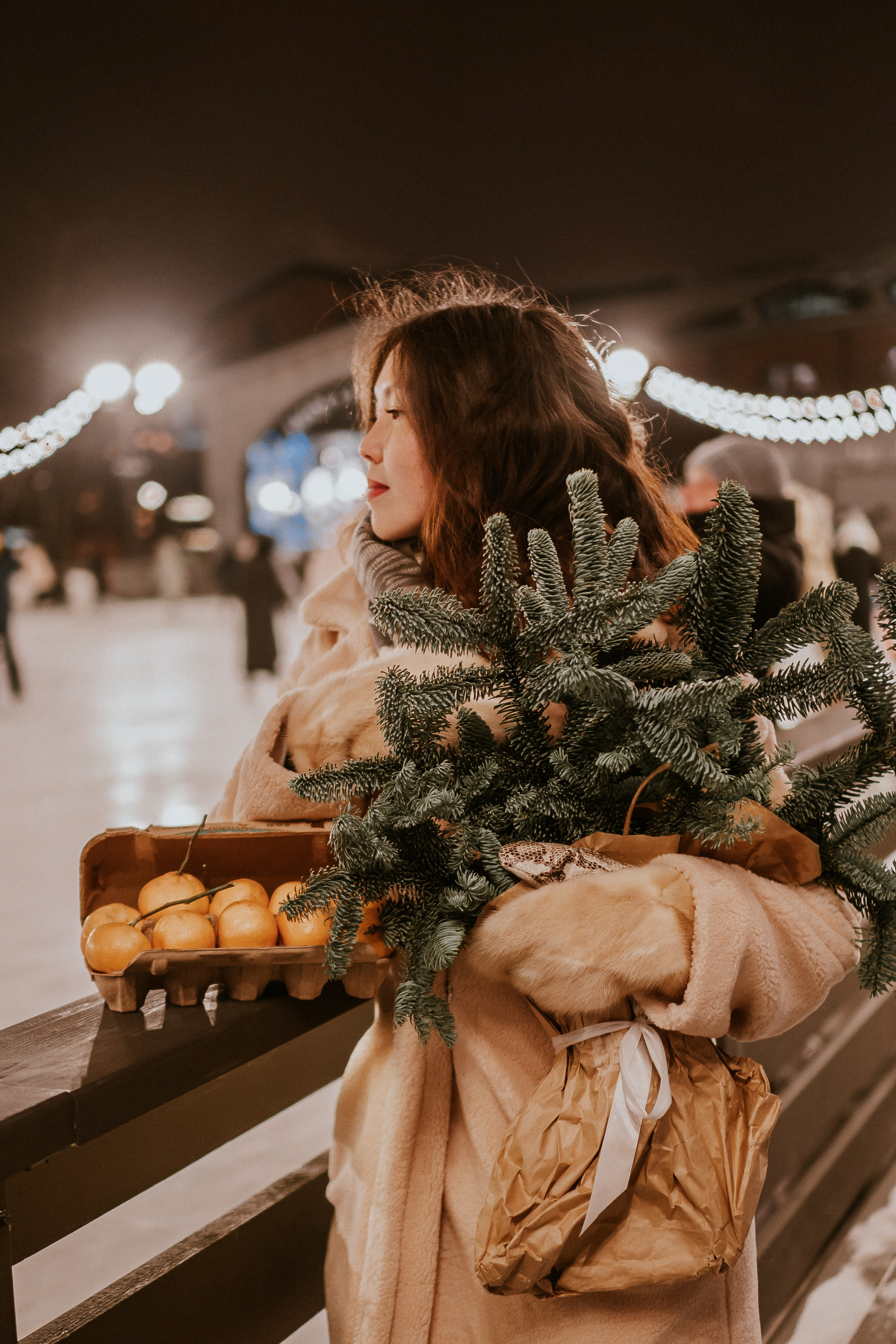 Зимняя сказка в Новой Голандии. Профессиональный фотограф, Санкт-Петербург — Виктория Богомолова