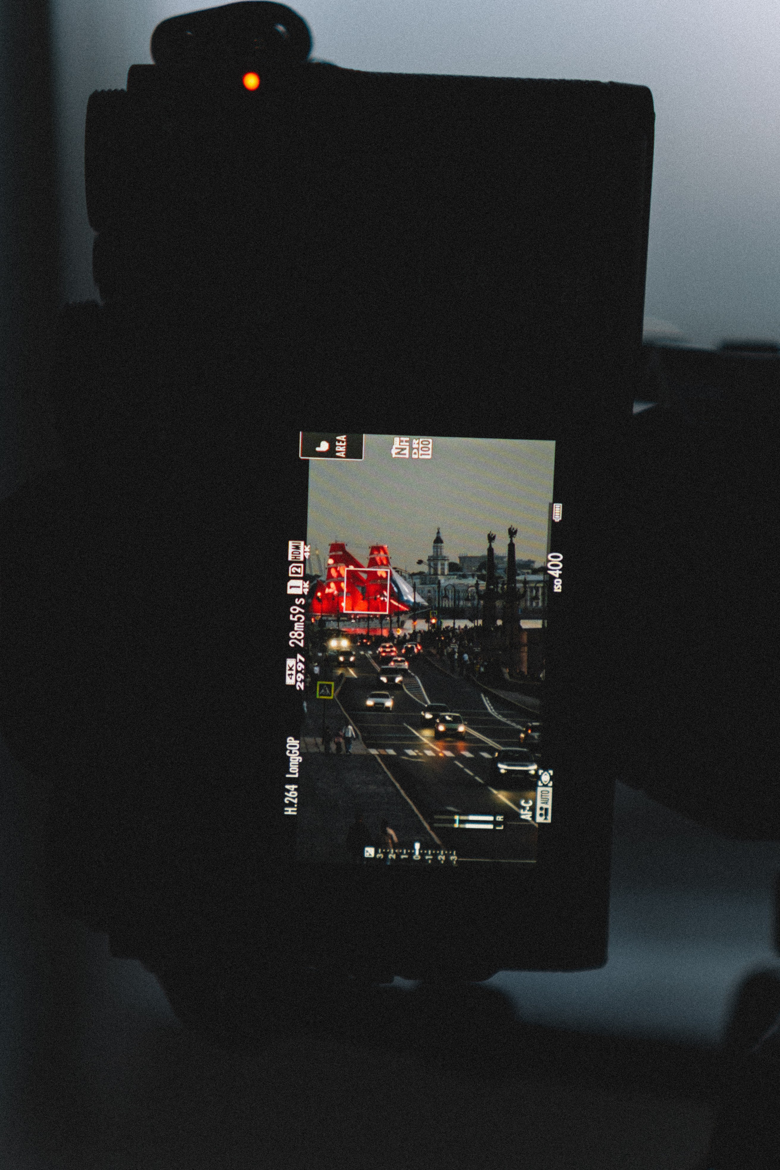 ЛЕТНИЙ ВЕЧЕР. Профессиональный фотограф, Санкт-Петербург — Виктория Богомолова