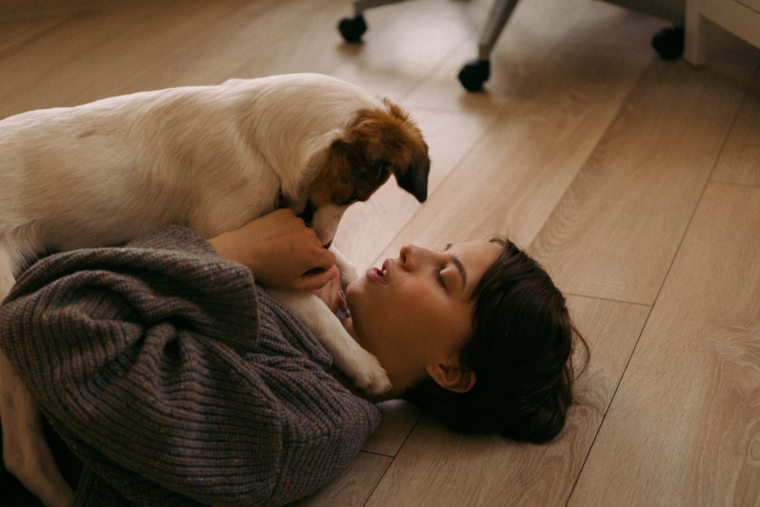 Лика и Клео. Свадебный фотограф Оля Григунова