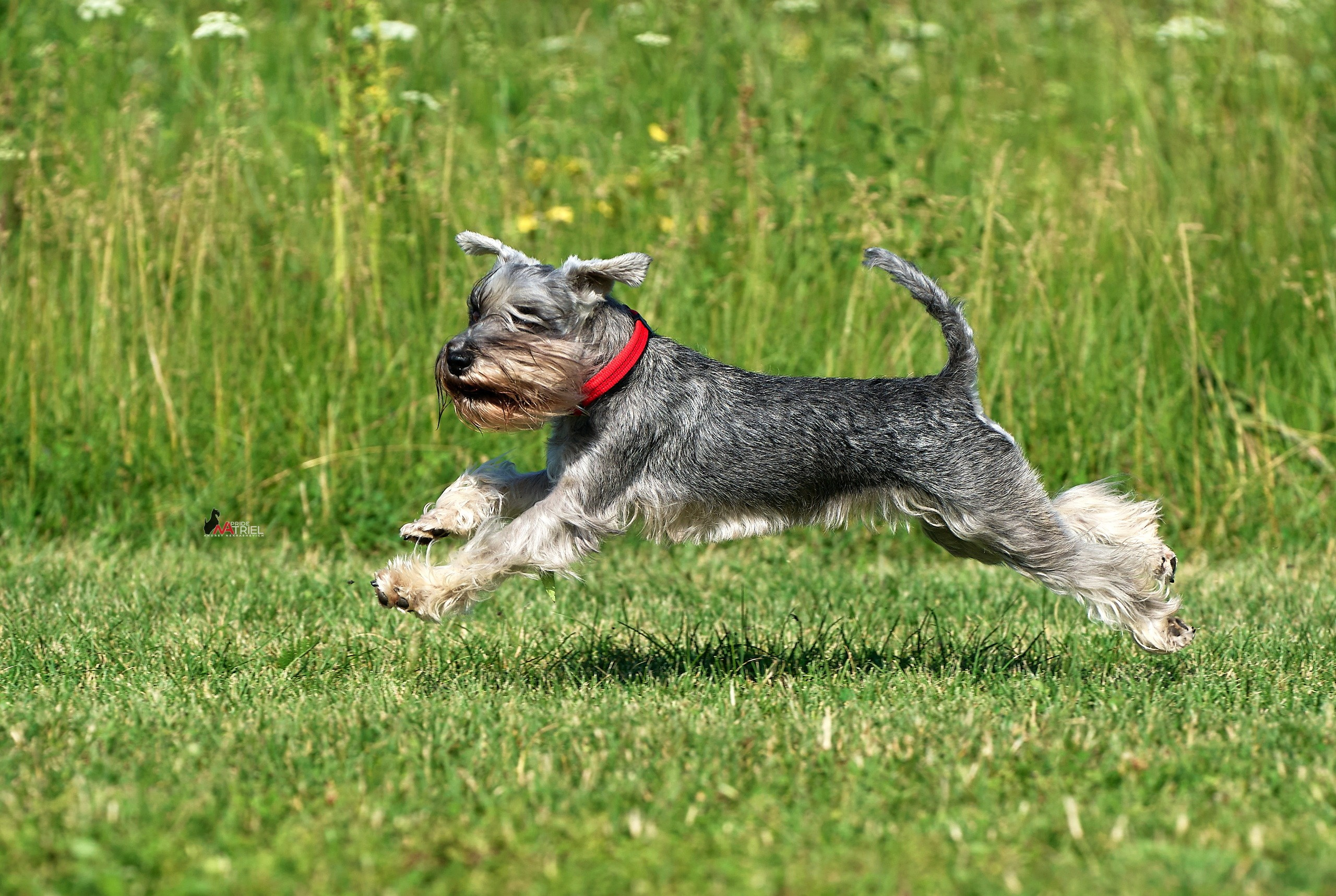 Прогулка в движении — галерея NATRIEL