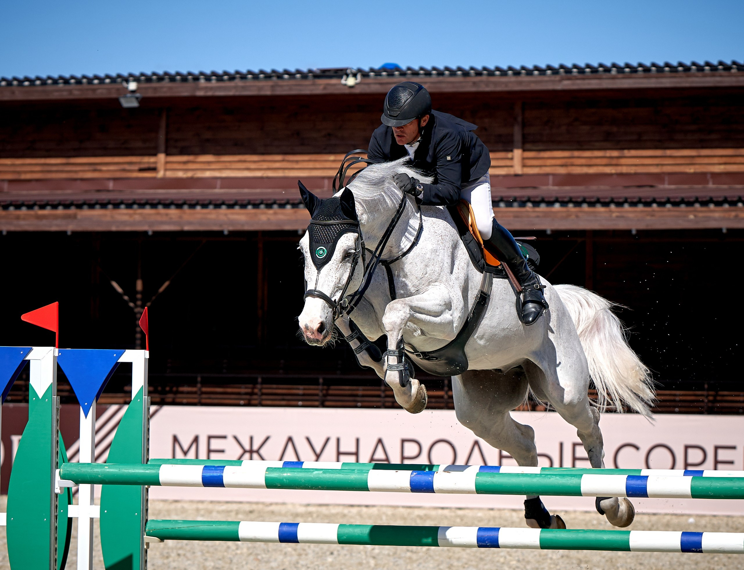 Соревнования на лошадях — галерея NATRIEL