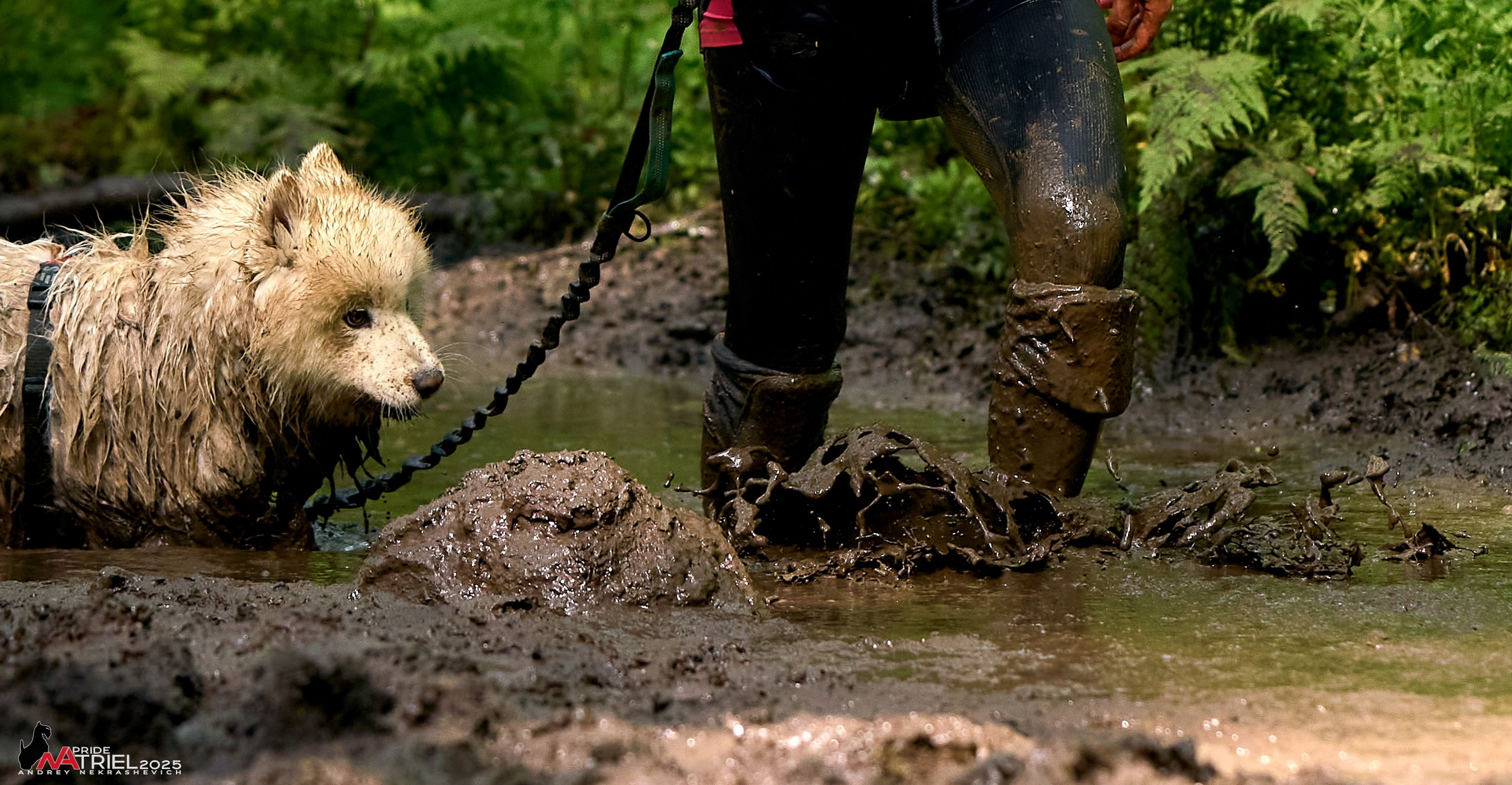 Russian Extreme Dog Trail — 2025