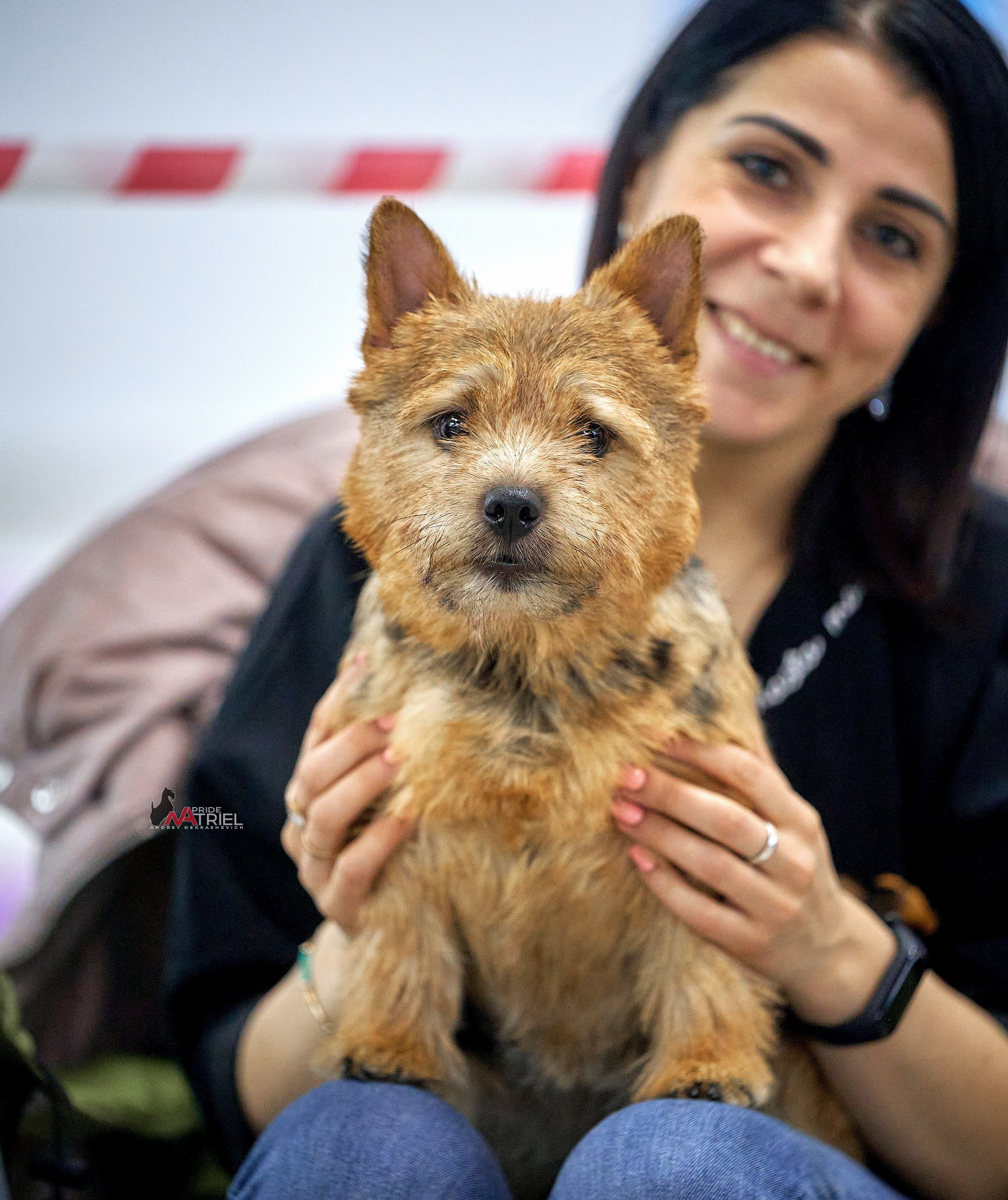 Картинки с выставки — галерея NATRIEL