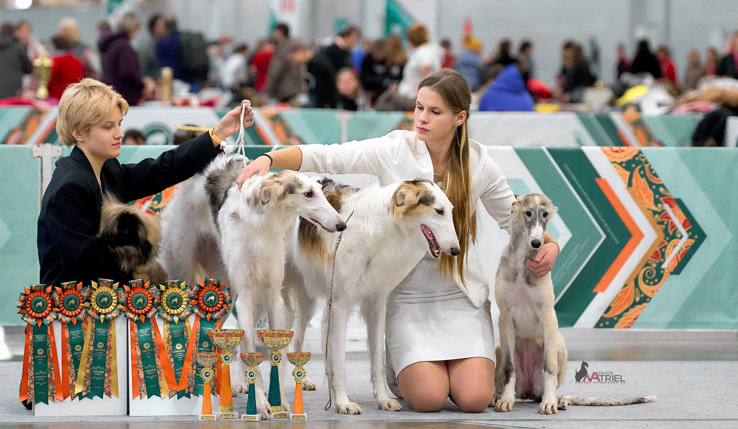 Призовые места — галерея NATRIEL